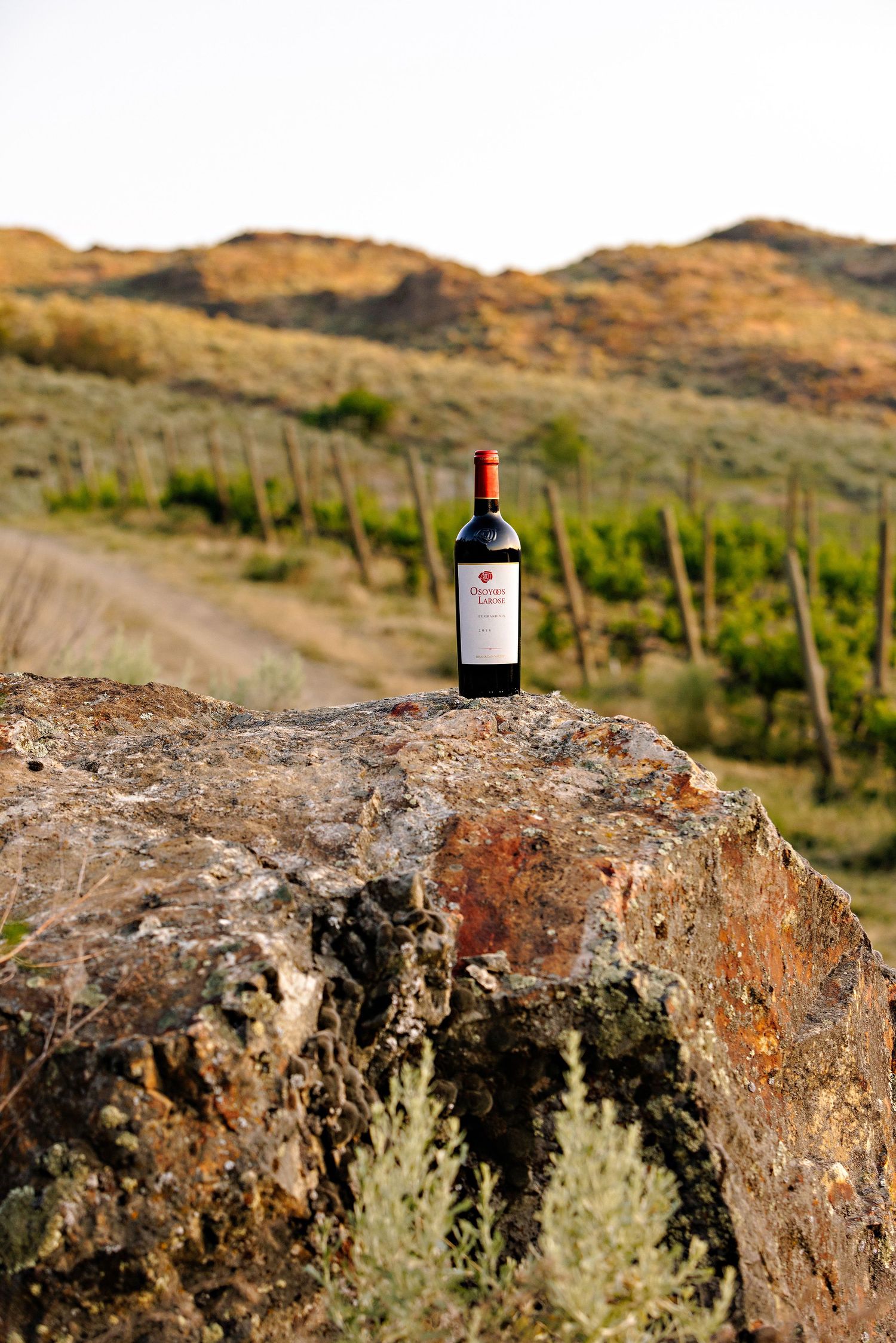 A wine bottle sits on a rugged rock formation overlooking scenic vineyard hills in a desert landscape.