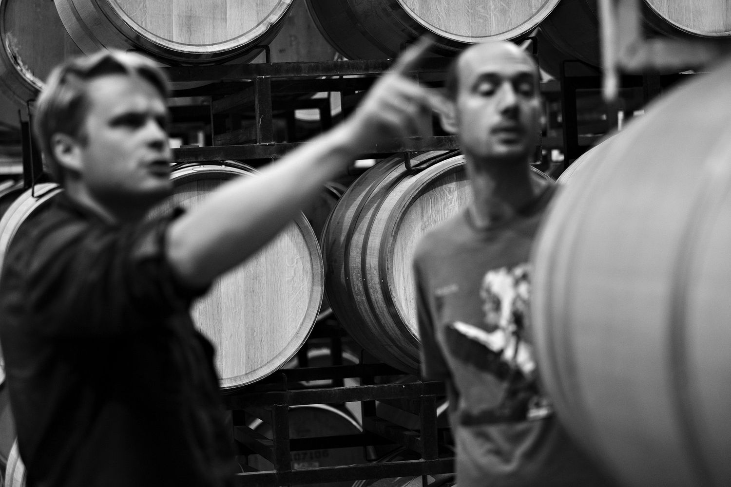 People checking large wooden wine barrels in a cellar storage area in black and white photography.
