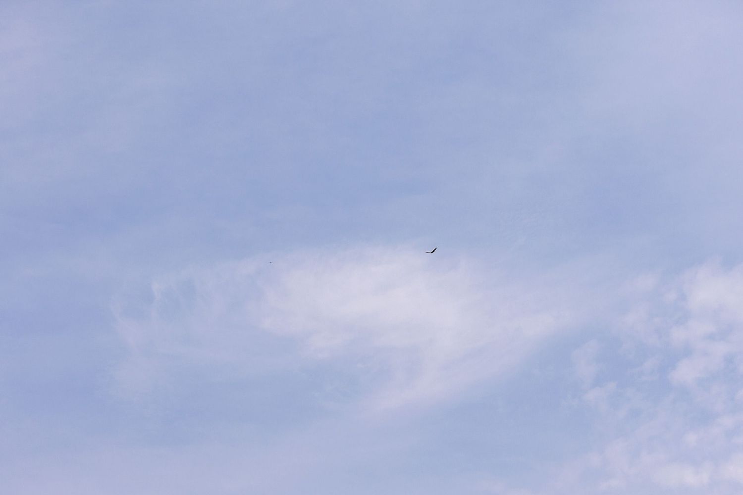 Small airplane silhouette flying through a wispy cloudy blue sky.