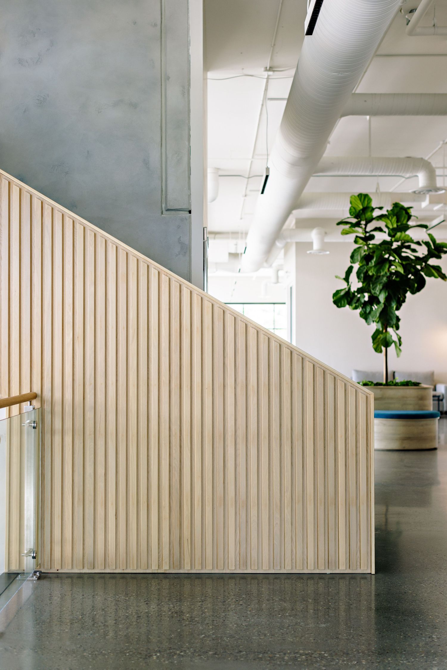 Modern office interior with vertical wood slat wall, exposed ductwork, polished concrete floor and potted fiddle leaf fig plant.