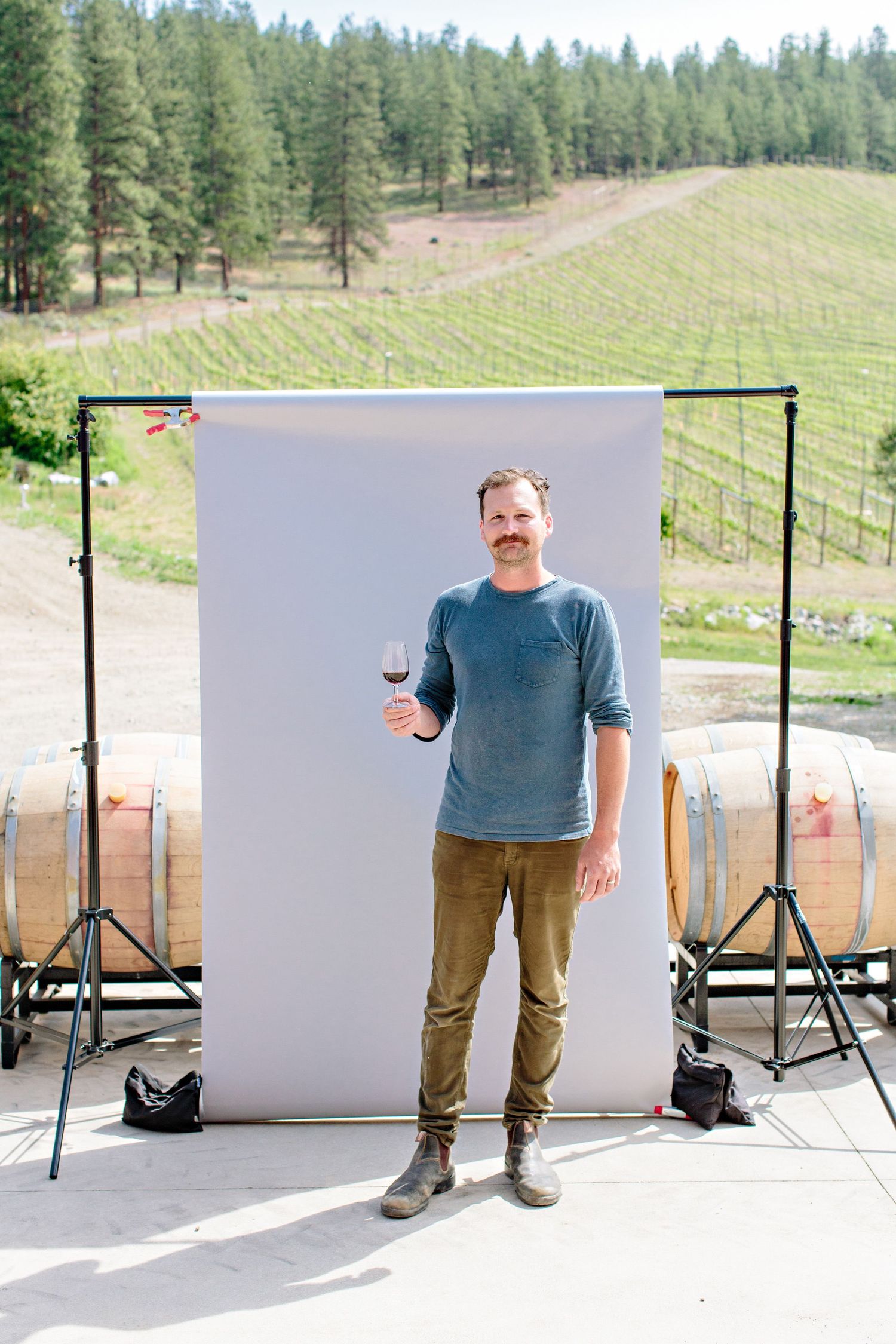 A photo shoot setup with a grey backdrop against a scenic vineyard landscape with pine trees in the background.