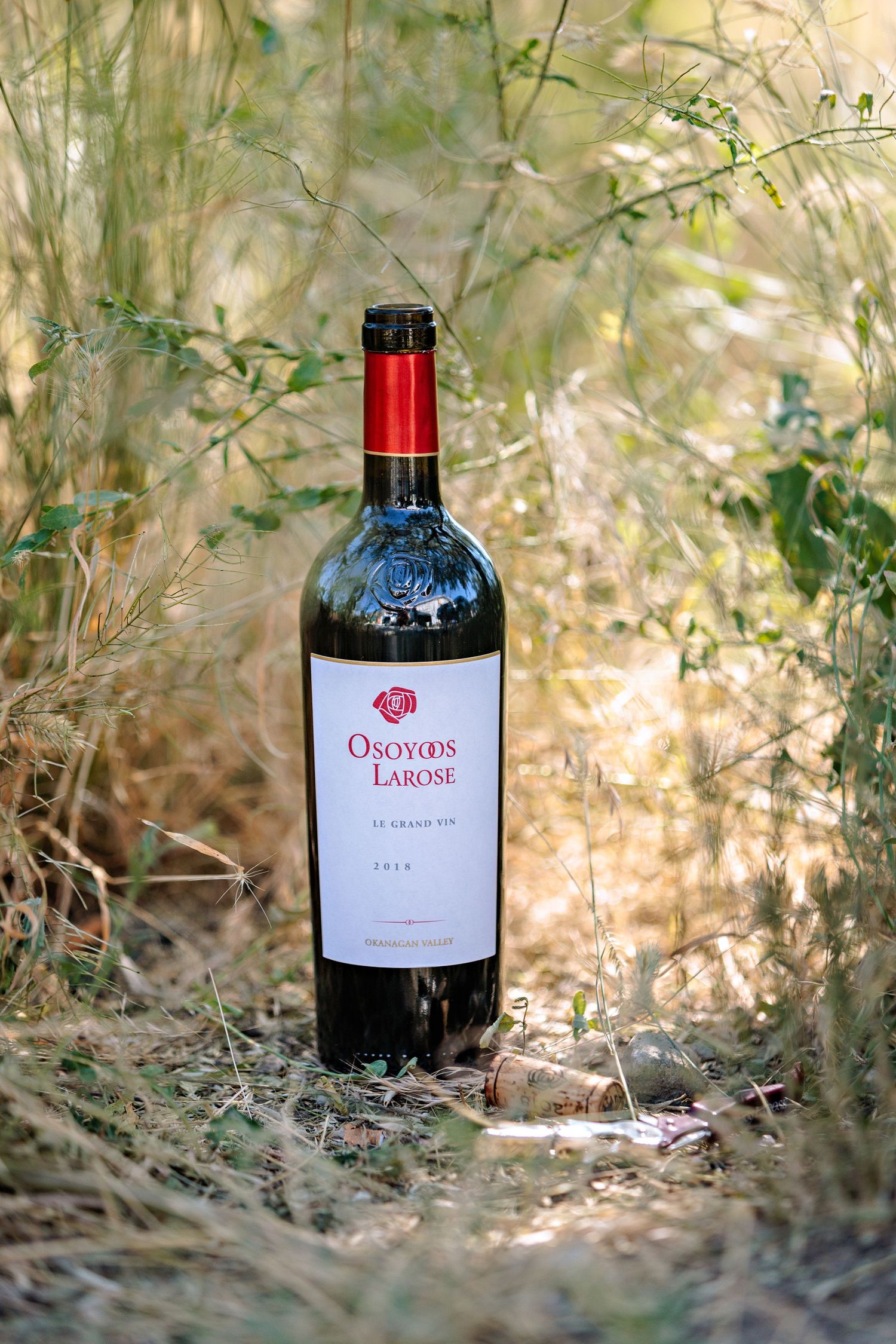 A bottle of Osoyoos Larose wine sits among dry grass and foliage in natural outdoor lighting.