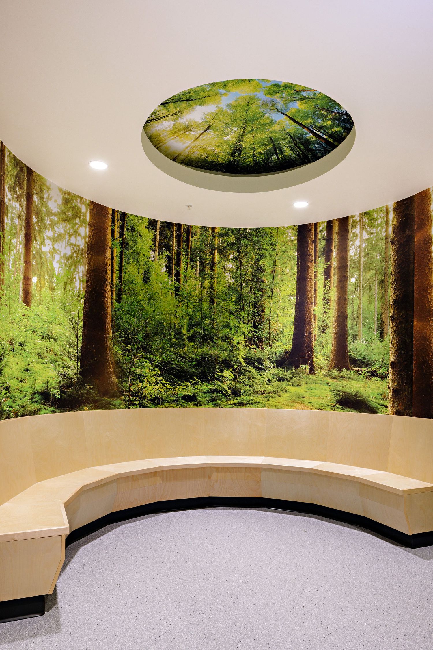 Modern waiting room with curved bench seating features floor-to-ceiling forest murals and a circular ceiling panel with tree canopy.