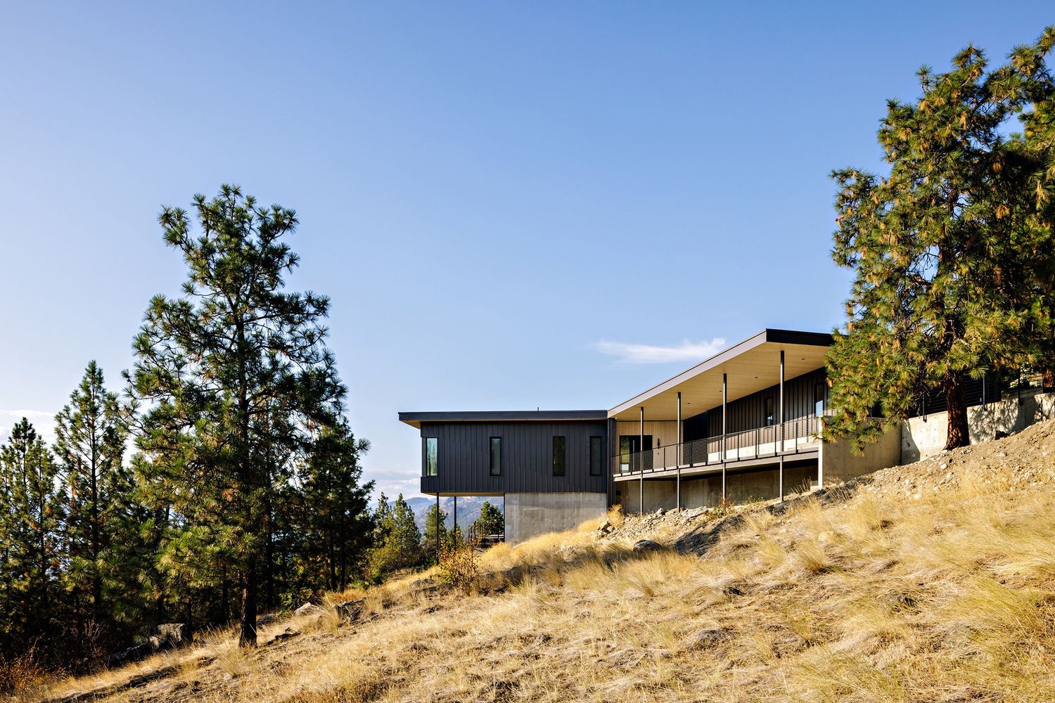 Modern hillside home with large windows and balcony nestled among pine trees on a sunny mountainside slope.