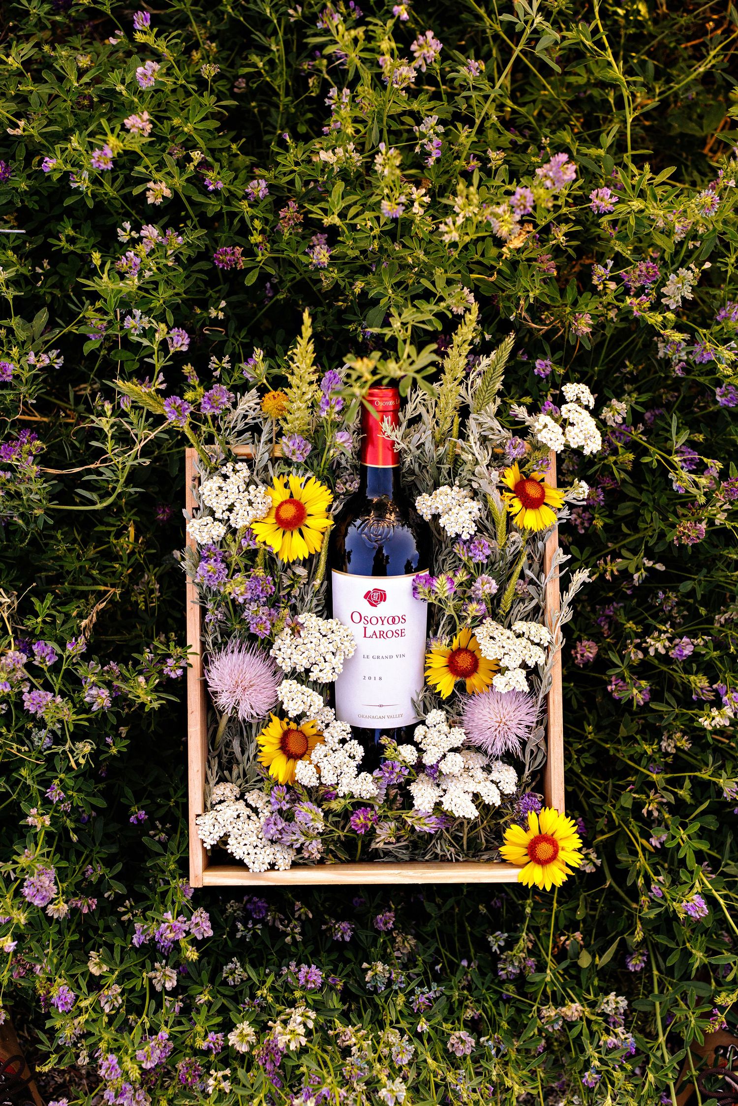 A wine bottle displayed in a wooden frame surrounded by colorful wildflowers and daisies against a garden backdrop.