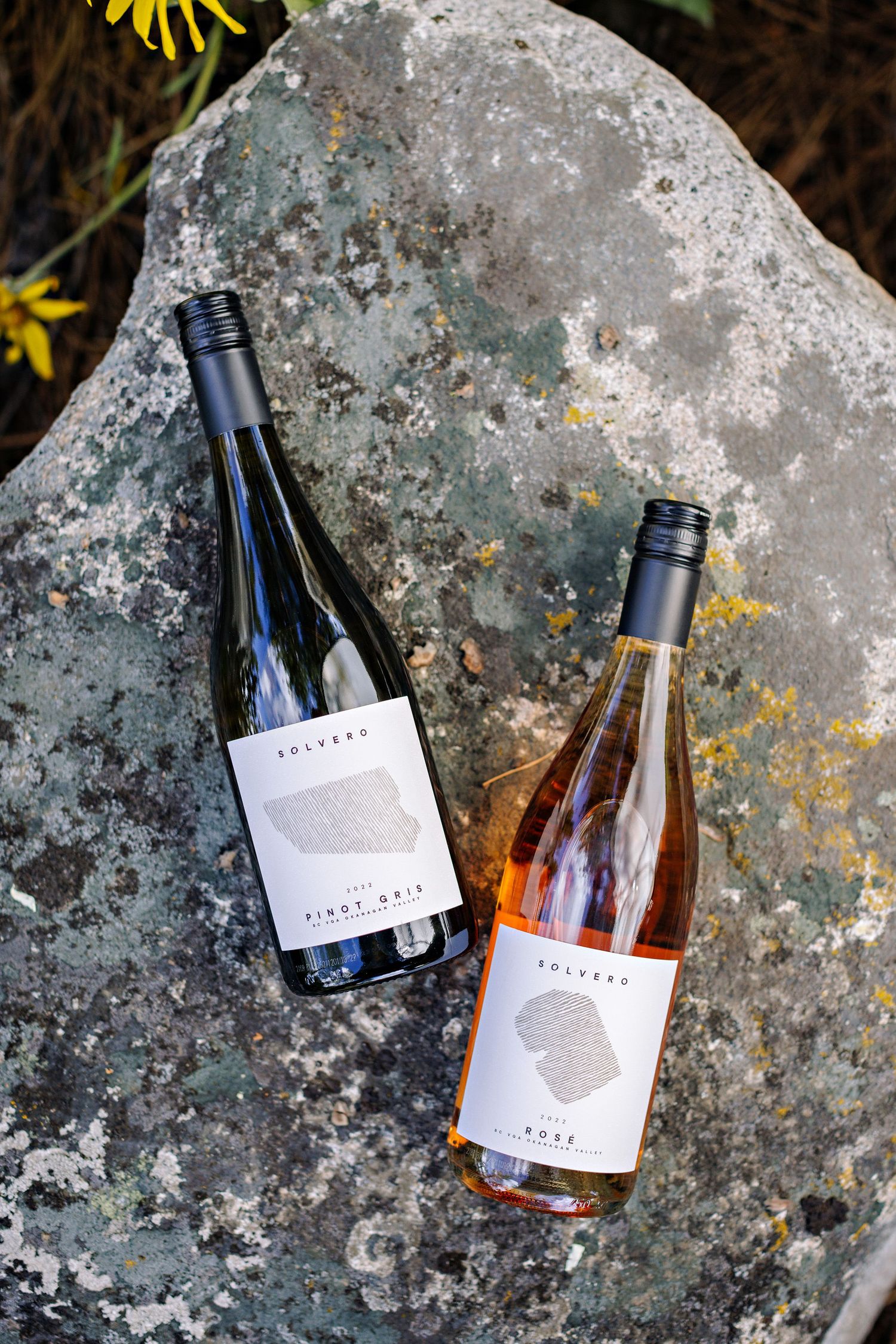 Two bottles of Solvero wine arranged on grey rock with yellow flowers in background.