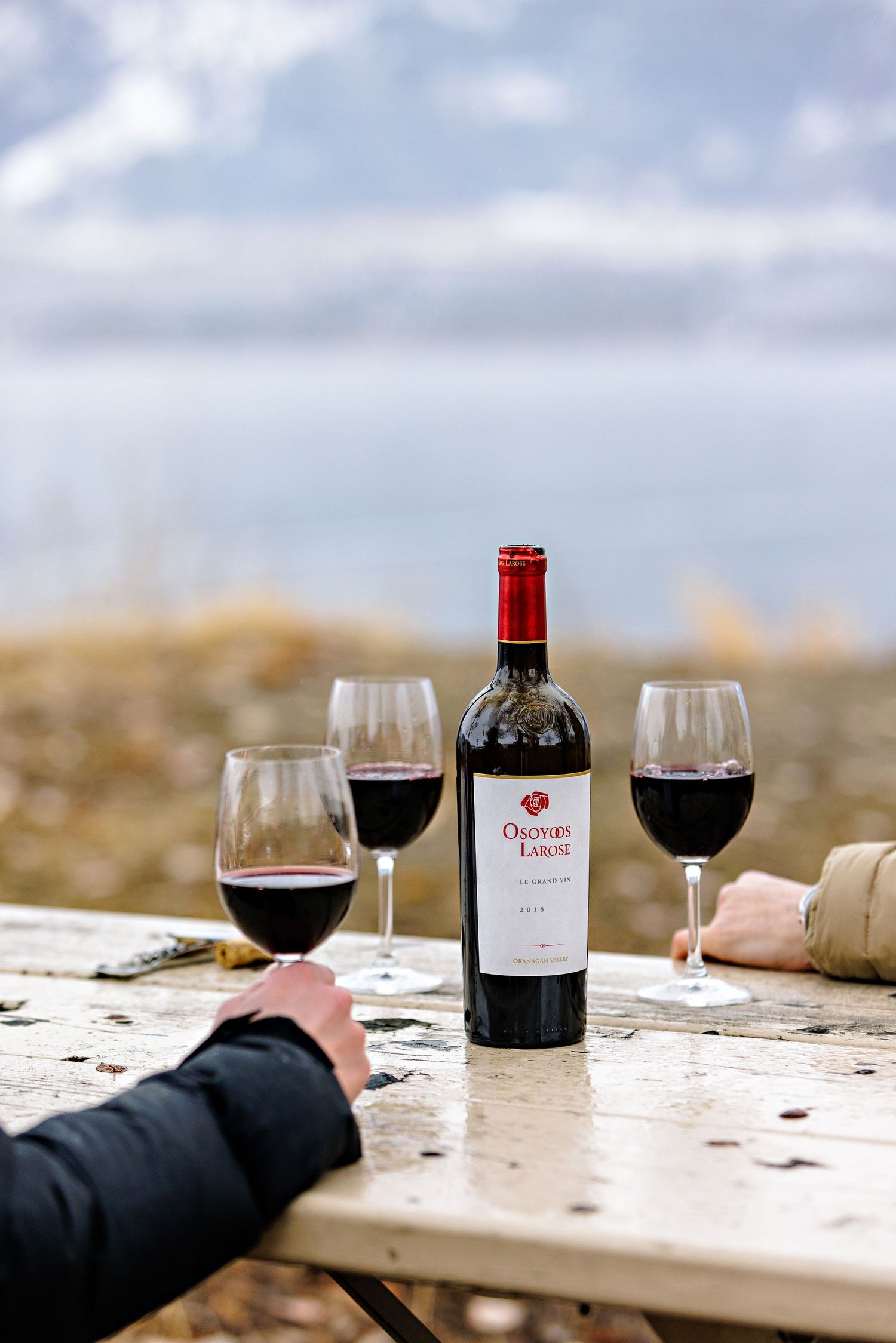 Three glasses of red wine and a bottle of Valle Lagos wine sit on a rustic wooden table outdoors against a blurred landscape.