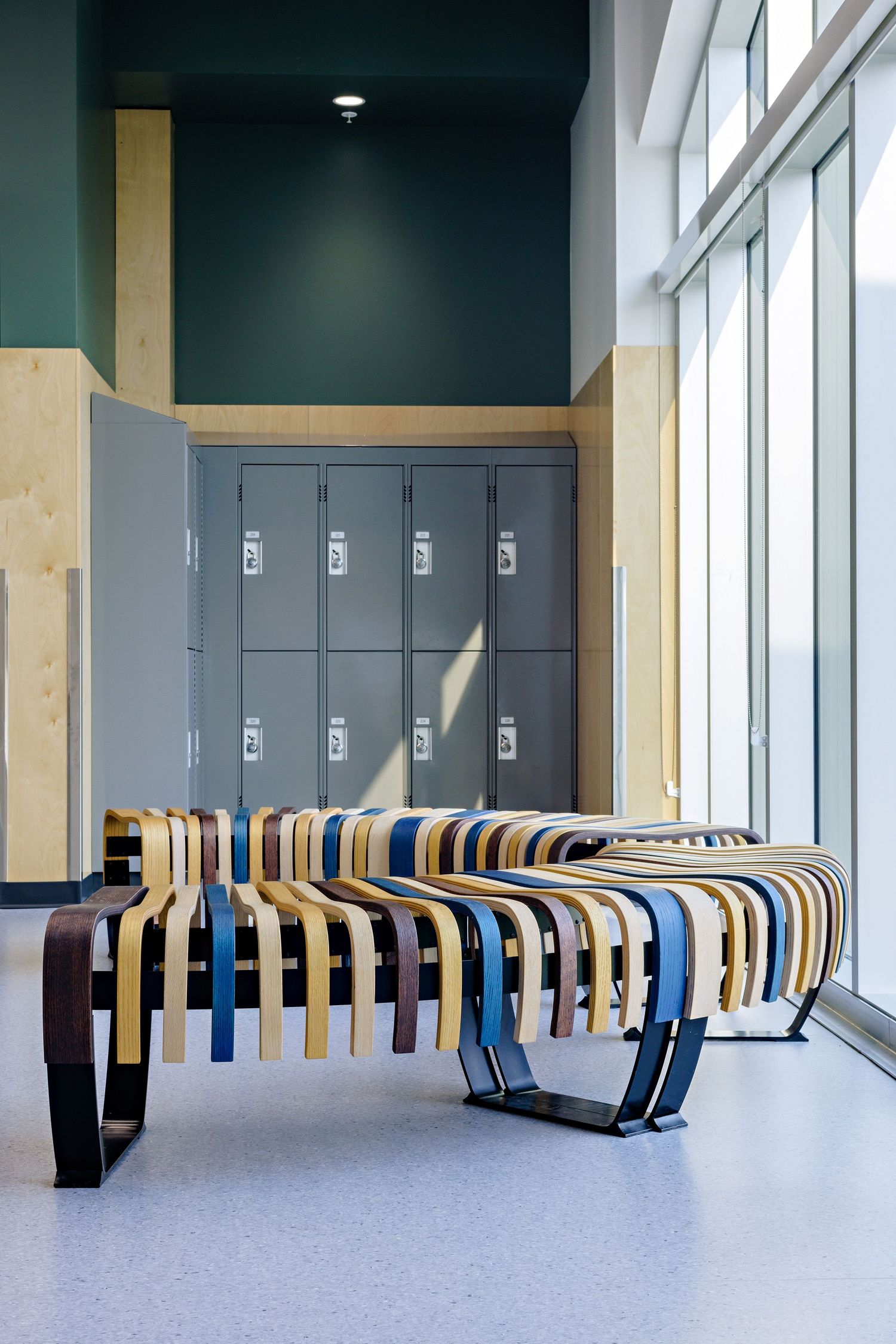 Modern school hallway with grey lockers and a stylish curved wooden bench seating area next to large windows.