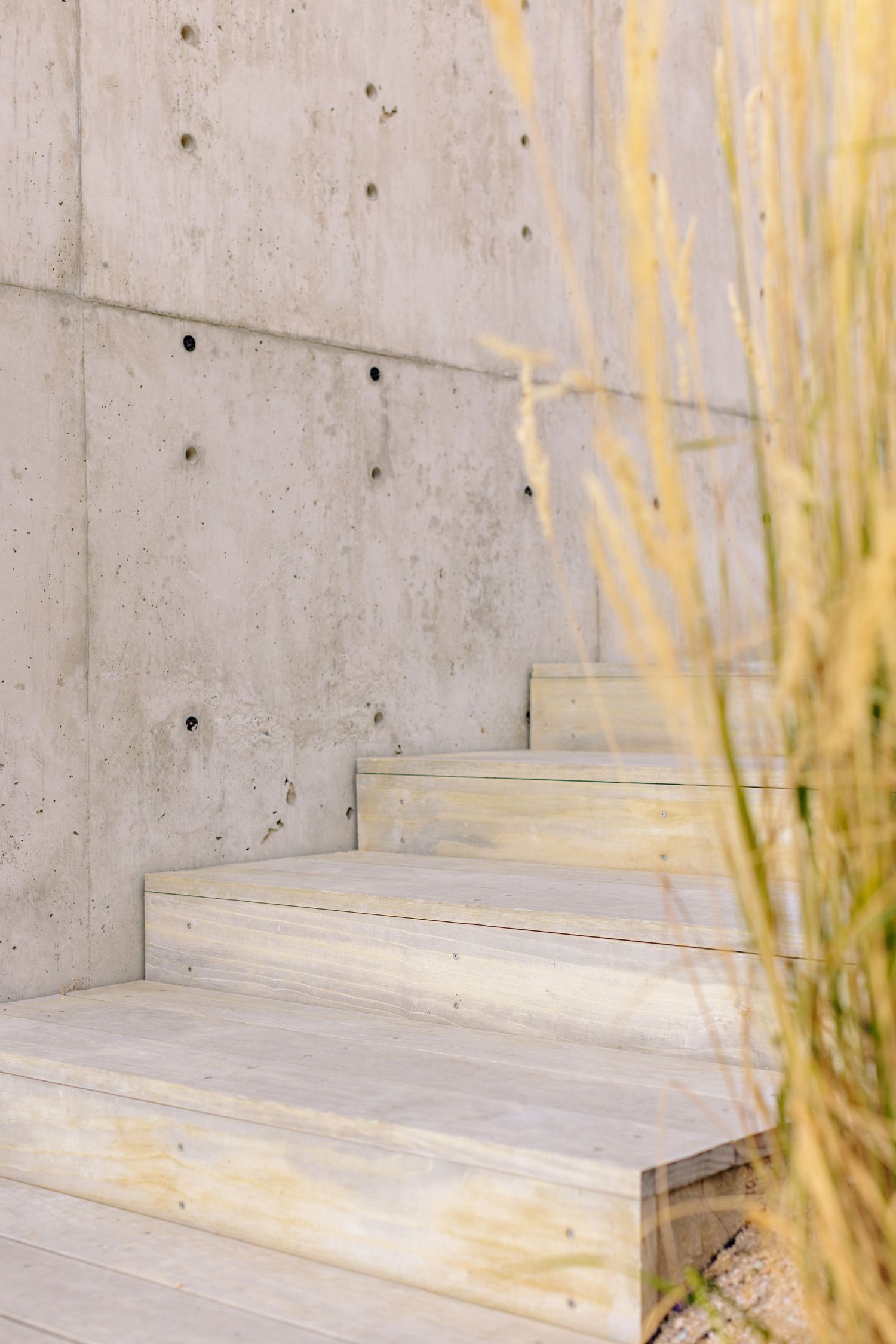 Modern concrete staircase with light wood treads and ornamental grasses along a minimalist grey wall.