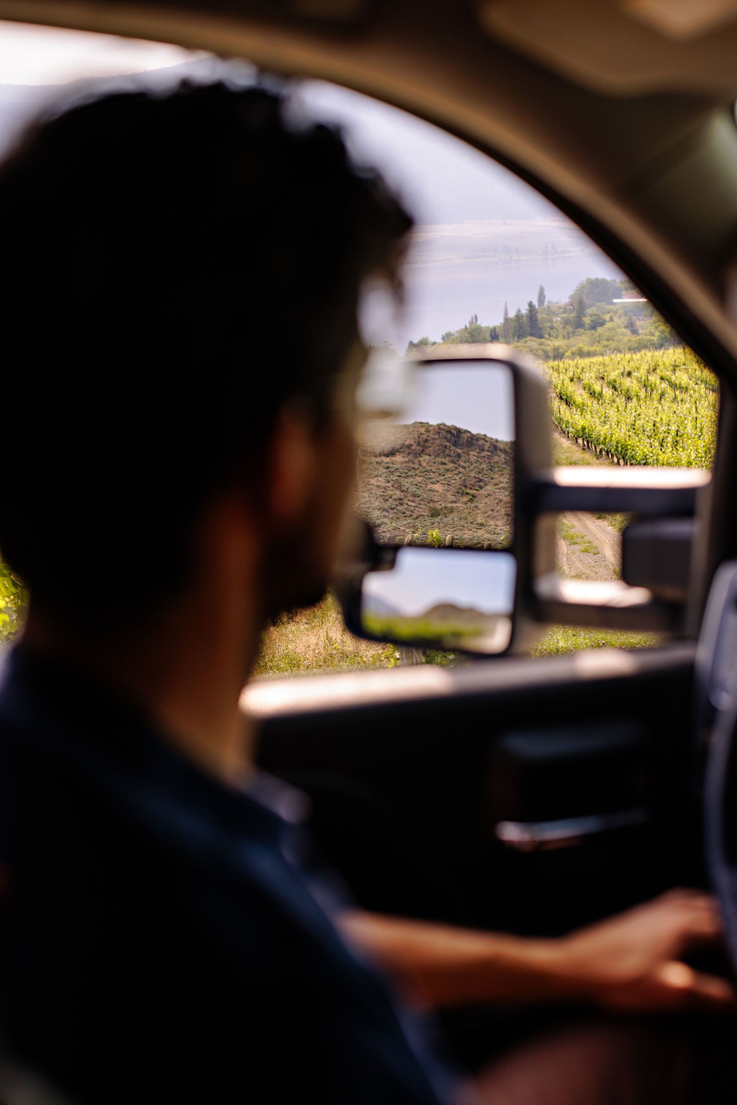 View through car window of a scenic vineyard landscape with rolling hills and distant buildings on a sunny day.