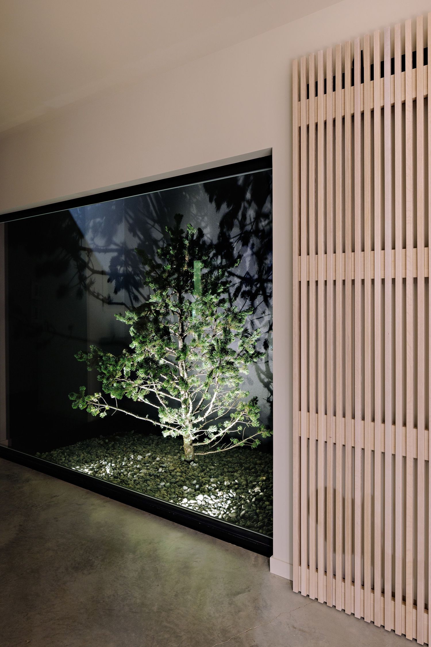 Modern interior features a lit bonsai tree display behind glass with elegant wood slat wall divider.