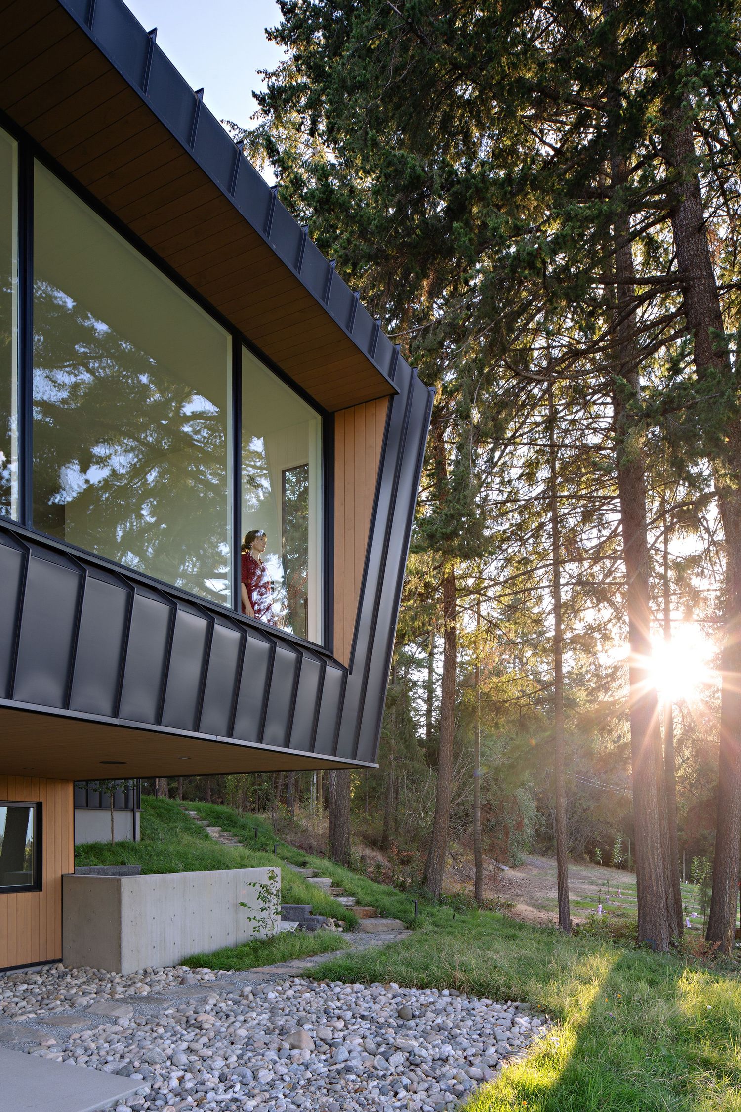 Modern architectural home with angled black trim and large windows nestled among tall pine trees at sunset.