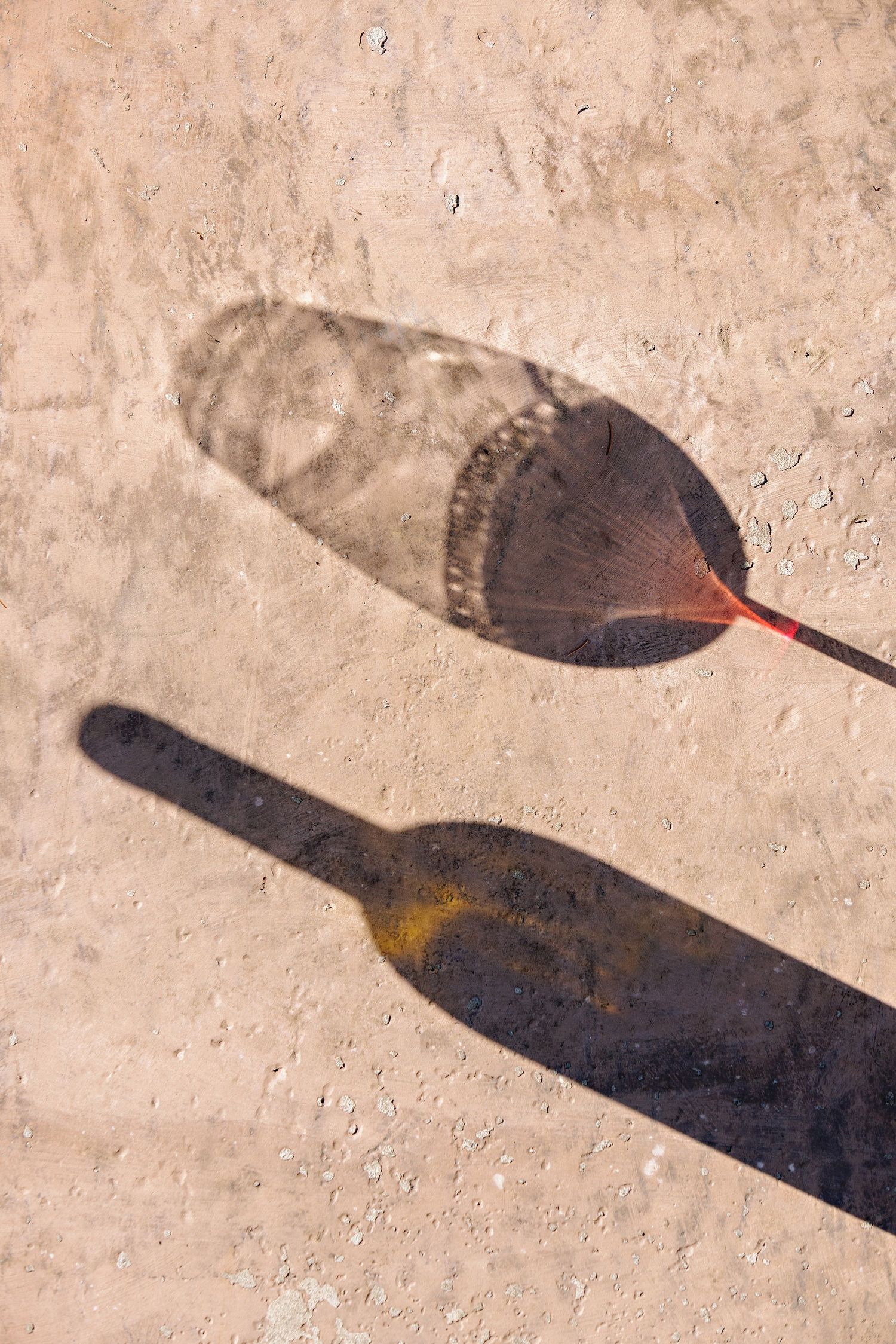 Shadow of a feather and wine bottle cast on a textured beige surface in sunlight.