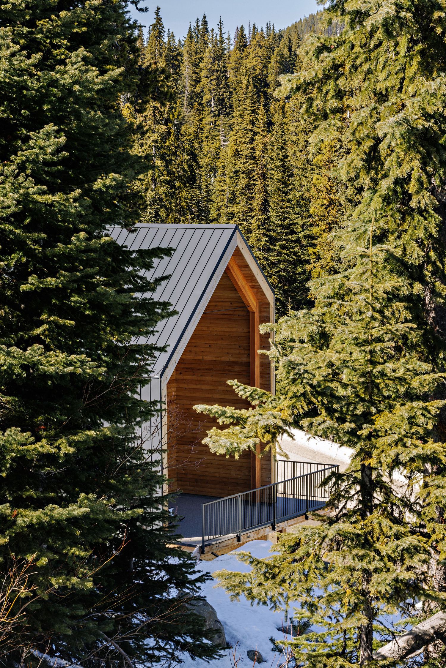 A wooden cabin with metal roof nestled among evergreen trees in a snowy mountain forest setting.