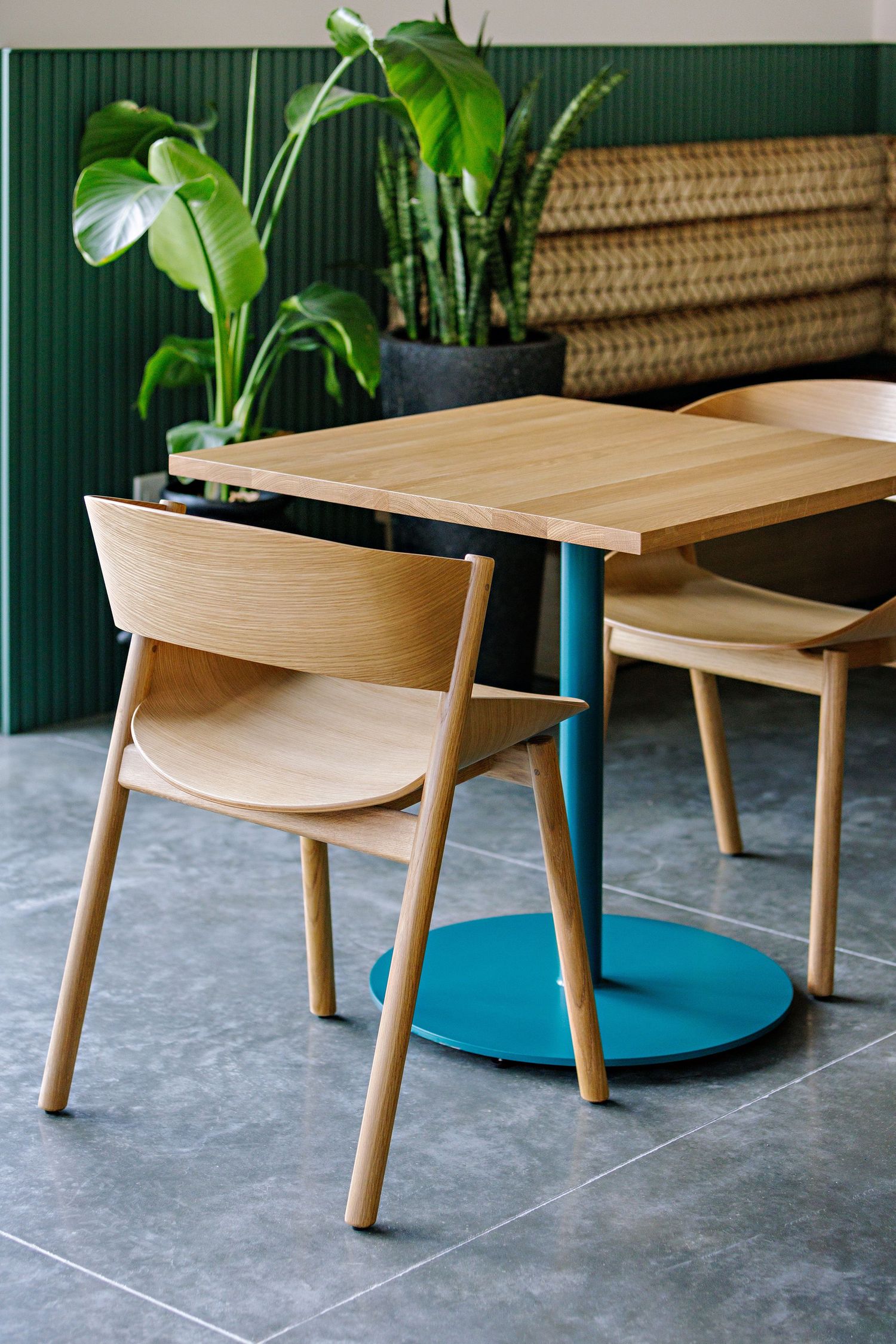 Modern wooden dining chair with curved backrest next to table with blue base and tropical plants in background.