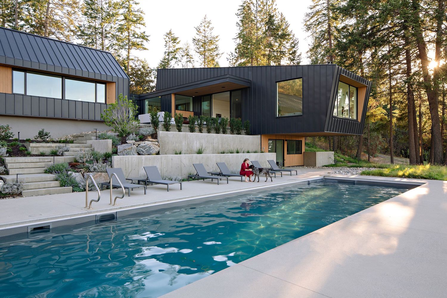 Contemporary black-clad home with modern swimming pool, concrete terrace and landscaped garden surrounded by tall pine trees.