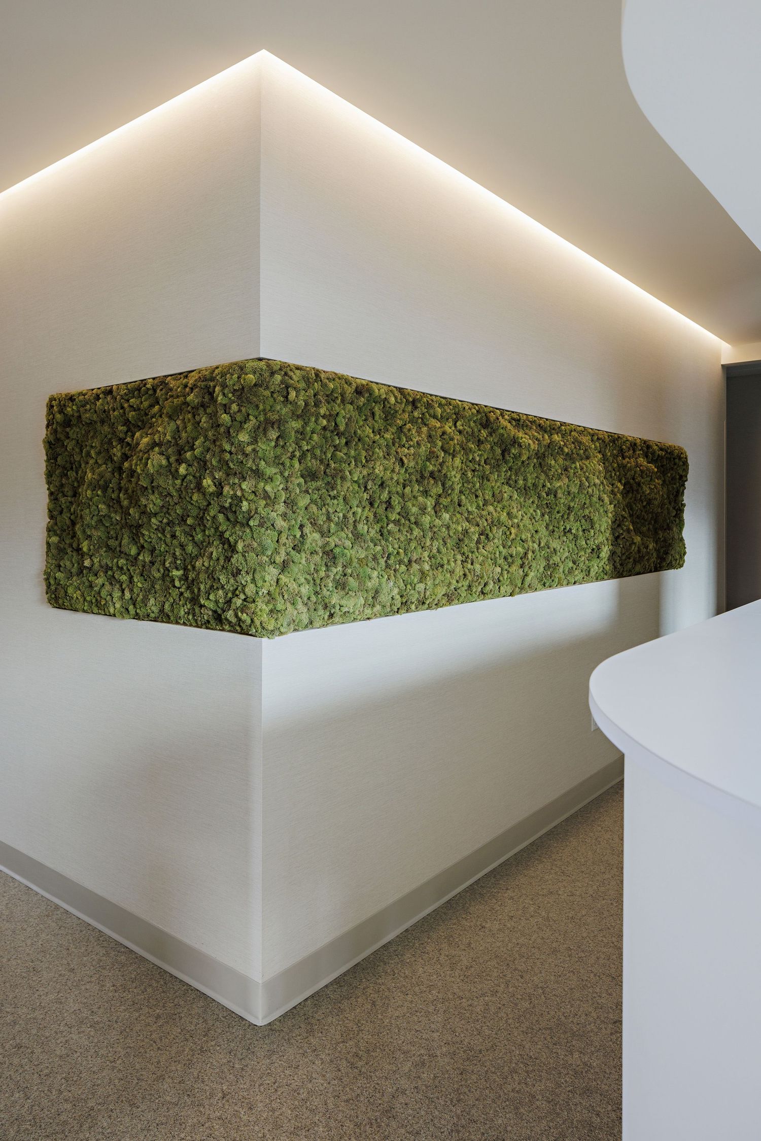 Modern art installation featuring a geometric moss-covered floating wall structure against clean white walls and gray carpet.