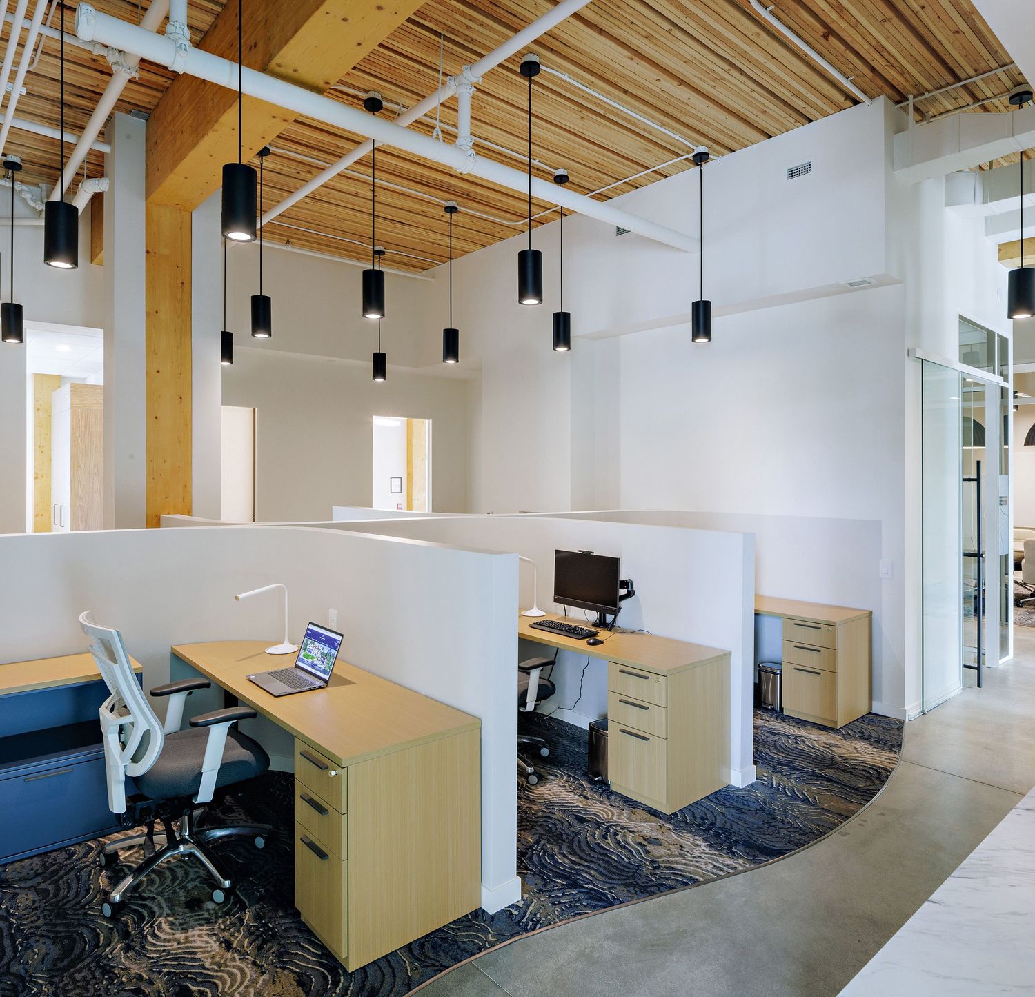 Modern office workspace with white walls, wooden ceiling, hanging black pendant lights and light wood desks with blue chairs.