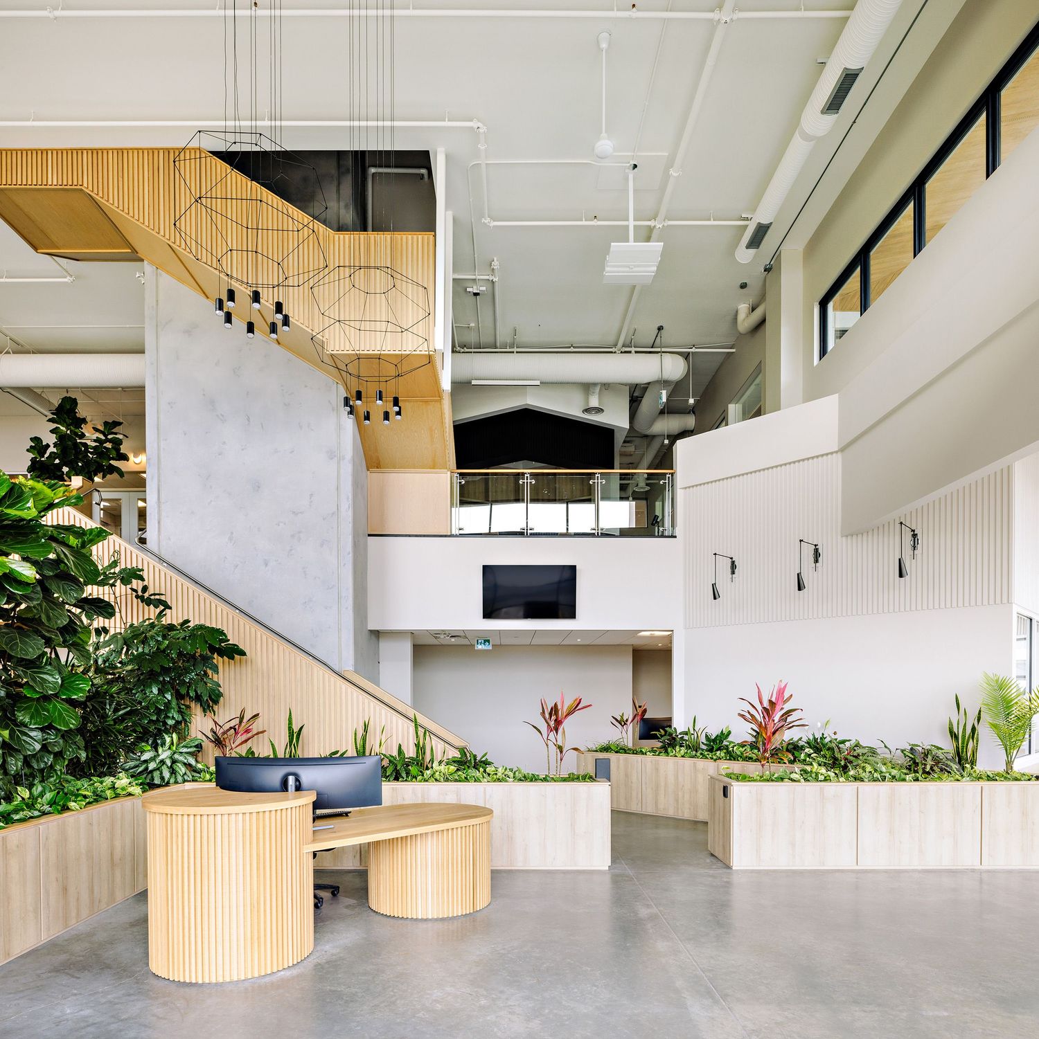 Modern office lobby with light wood furniture, hanging geometric lamps, and integrated indoor planters on concrete floors.