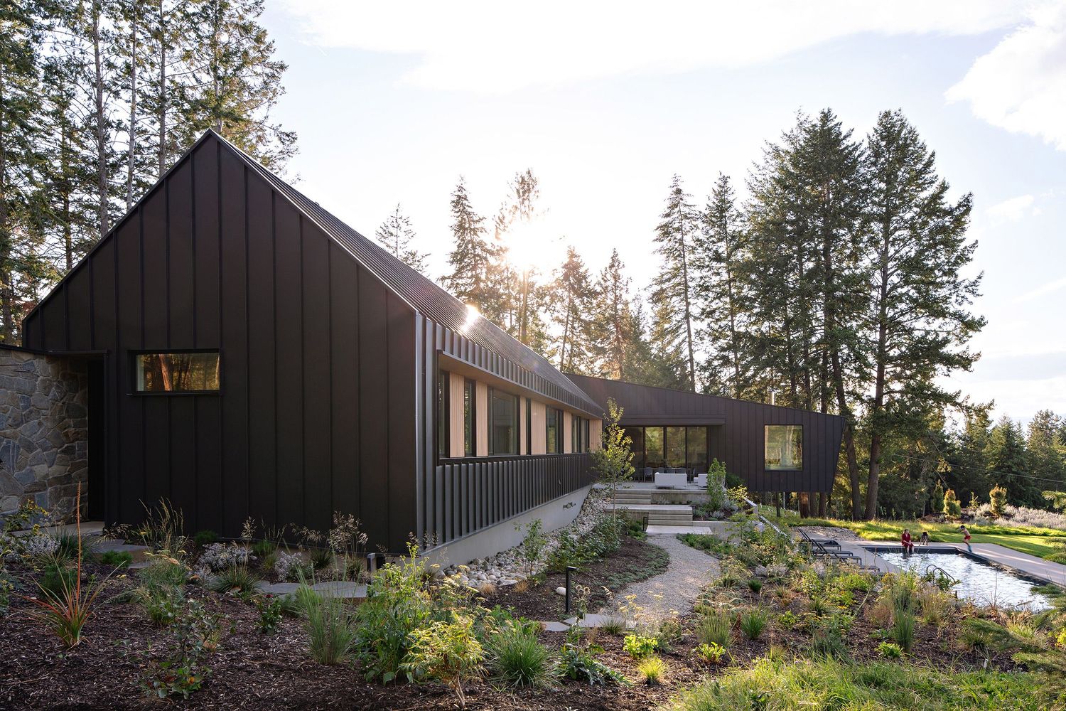 Modern black-clad home with landscaped garden and pool nestled among tall evergreen trees at sunset.