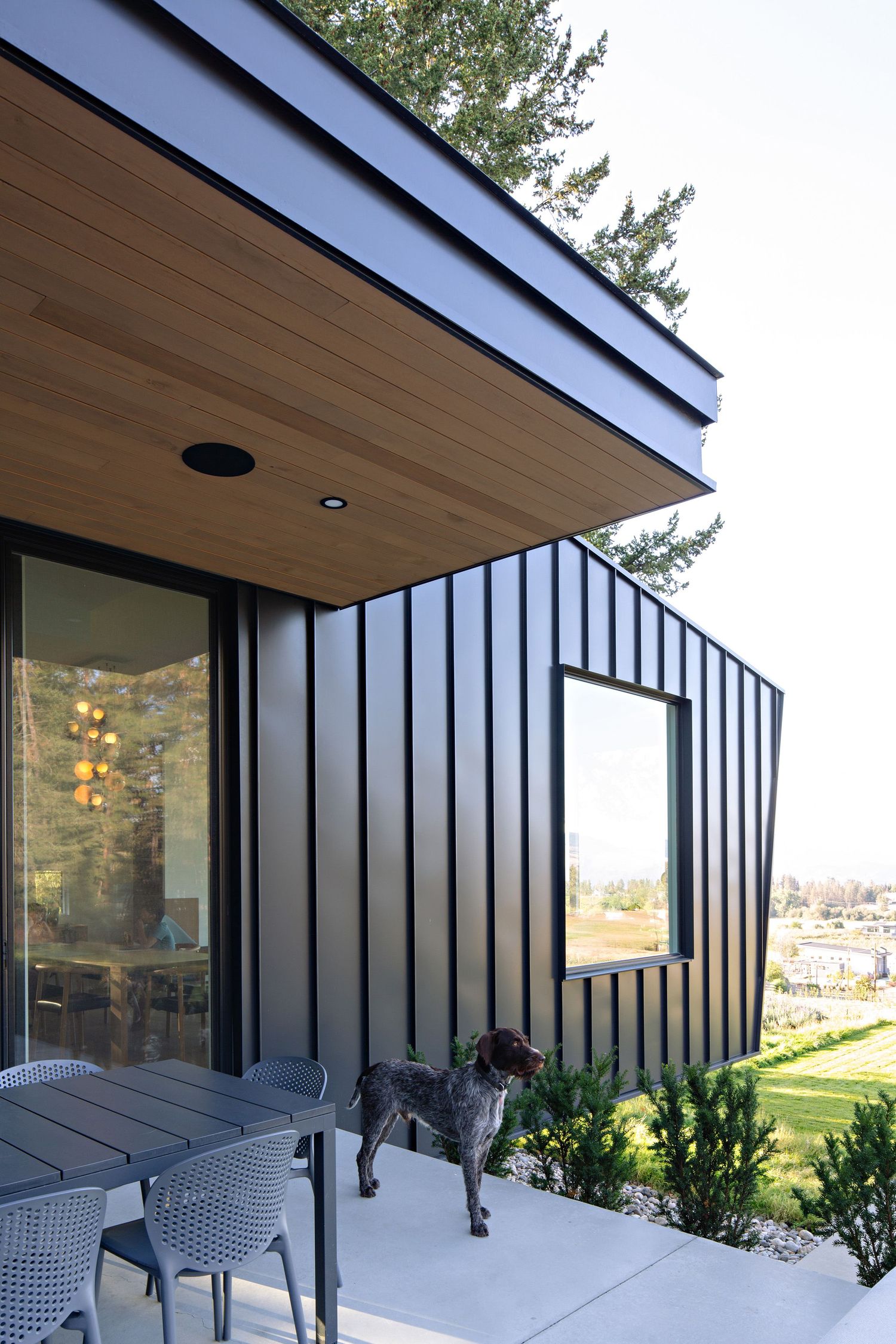 Modern house exterior with black metal siding, wood ceiling overhang, and a dog standing on white concrete patio.