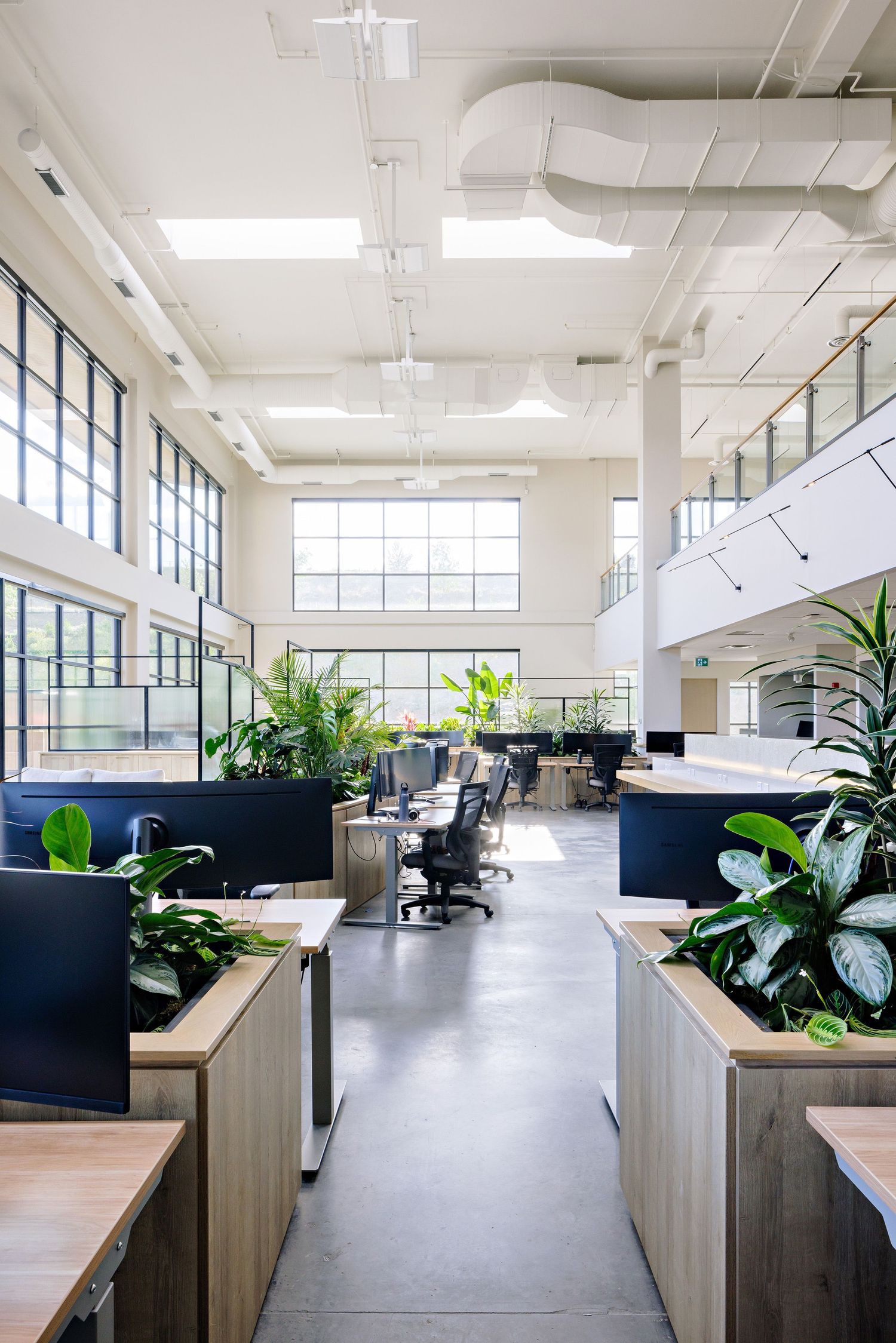 Modern office space featuring high ceilings, natural light, and green plants integrated into wooden desk partitions.