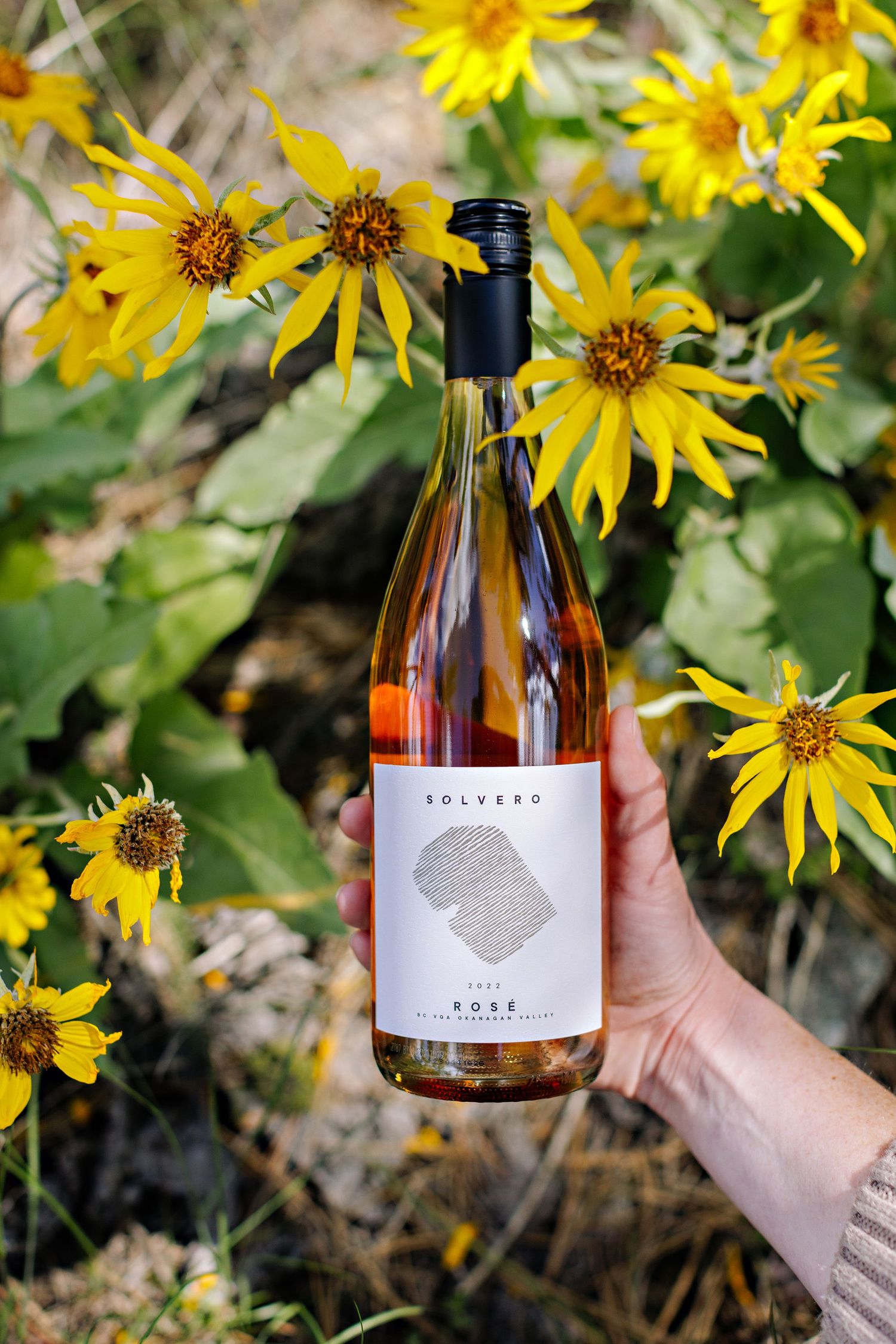 Bottle of rose wine held against yellow wildflowers in natural outdoor setting.