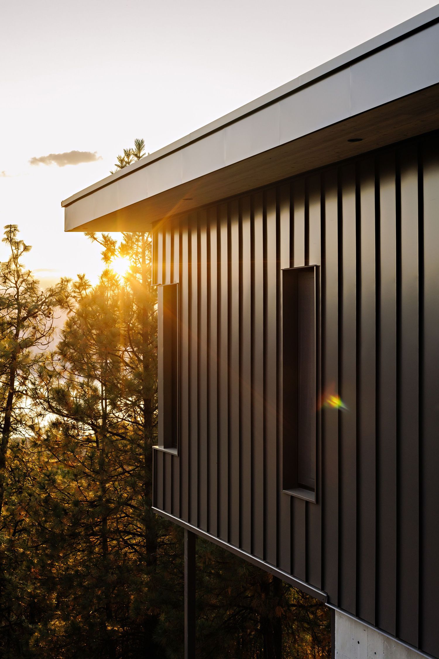 Modern house exterior with vertical siding and large windows silhouetted against golden sunset through trees.