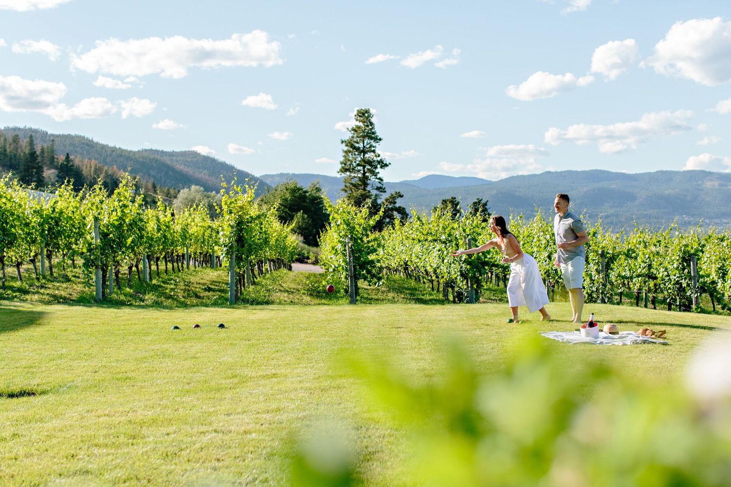 People walking through lush green vineyard with mountains in background.