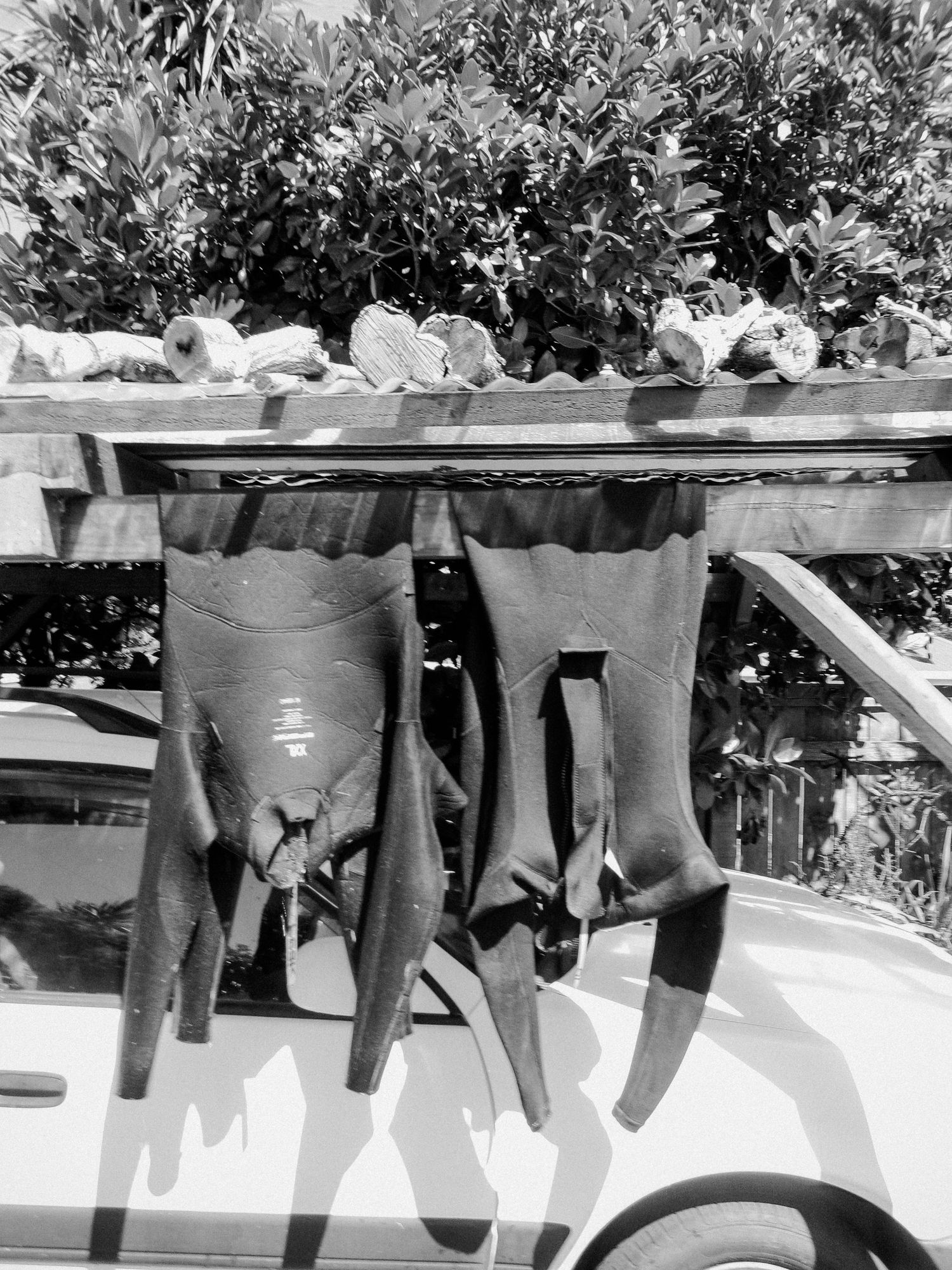 Row of potted plants hanging on a white outdoor railing in natural sunlight.