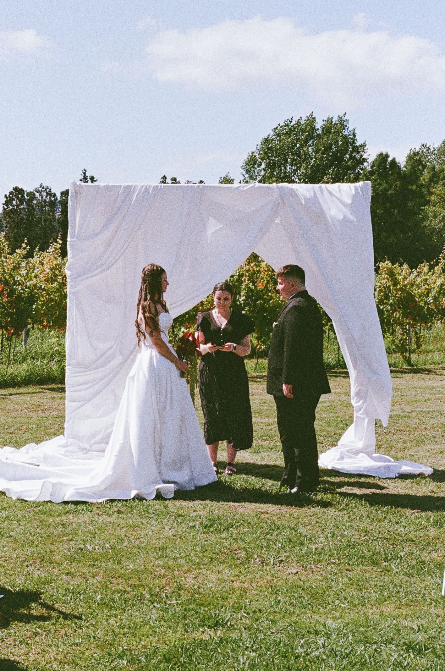 Outdoor wedding ceremony setup with white fabric backdrop in a garden setting.