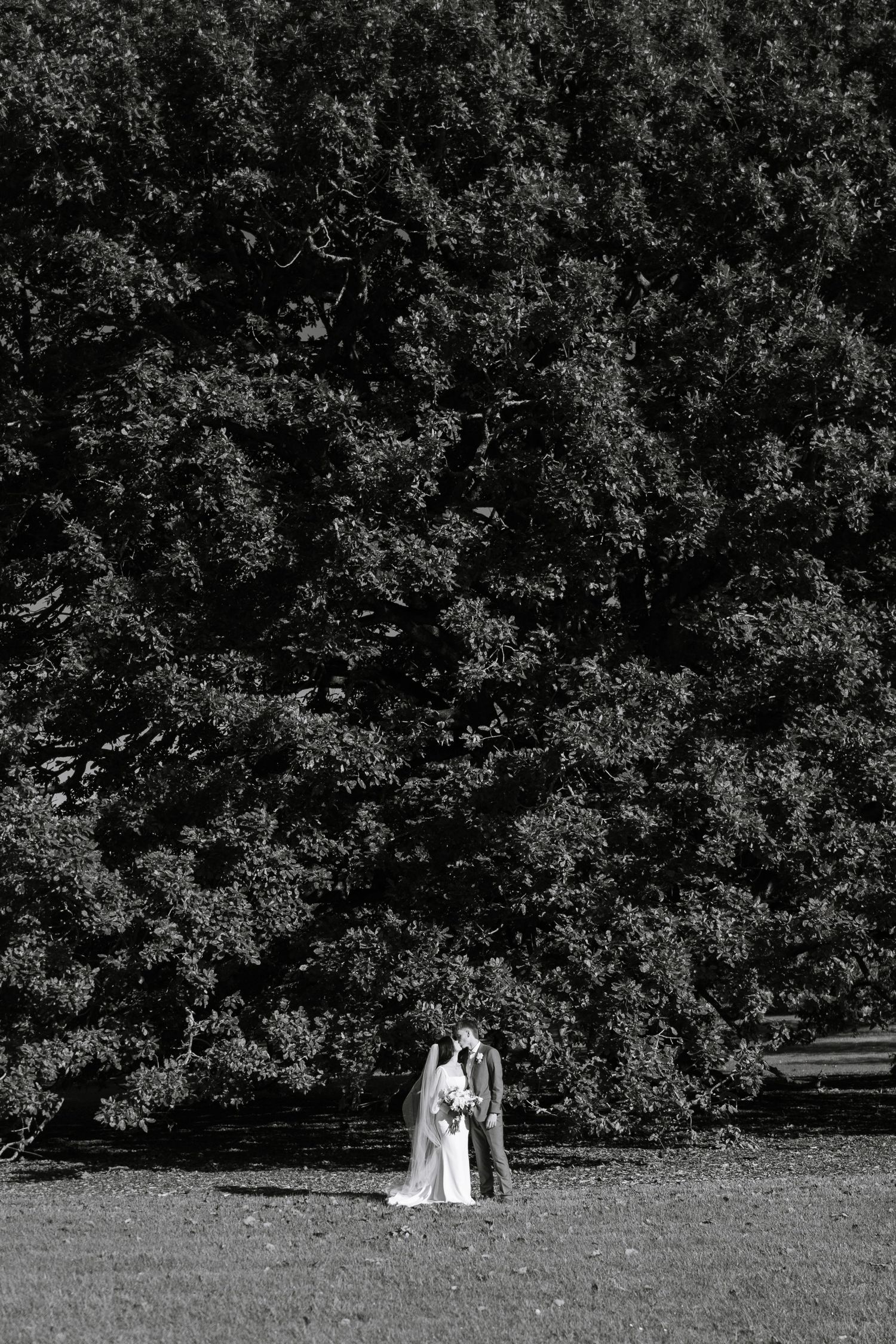 Distant wedding ceremony taking place under large trees in a peaceful garden setting.