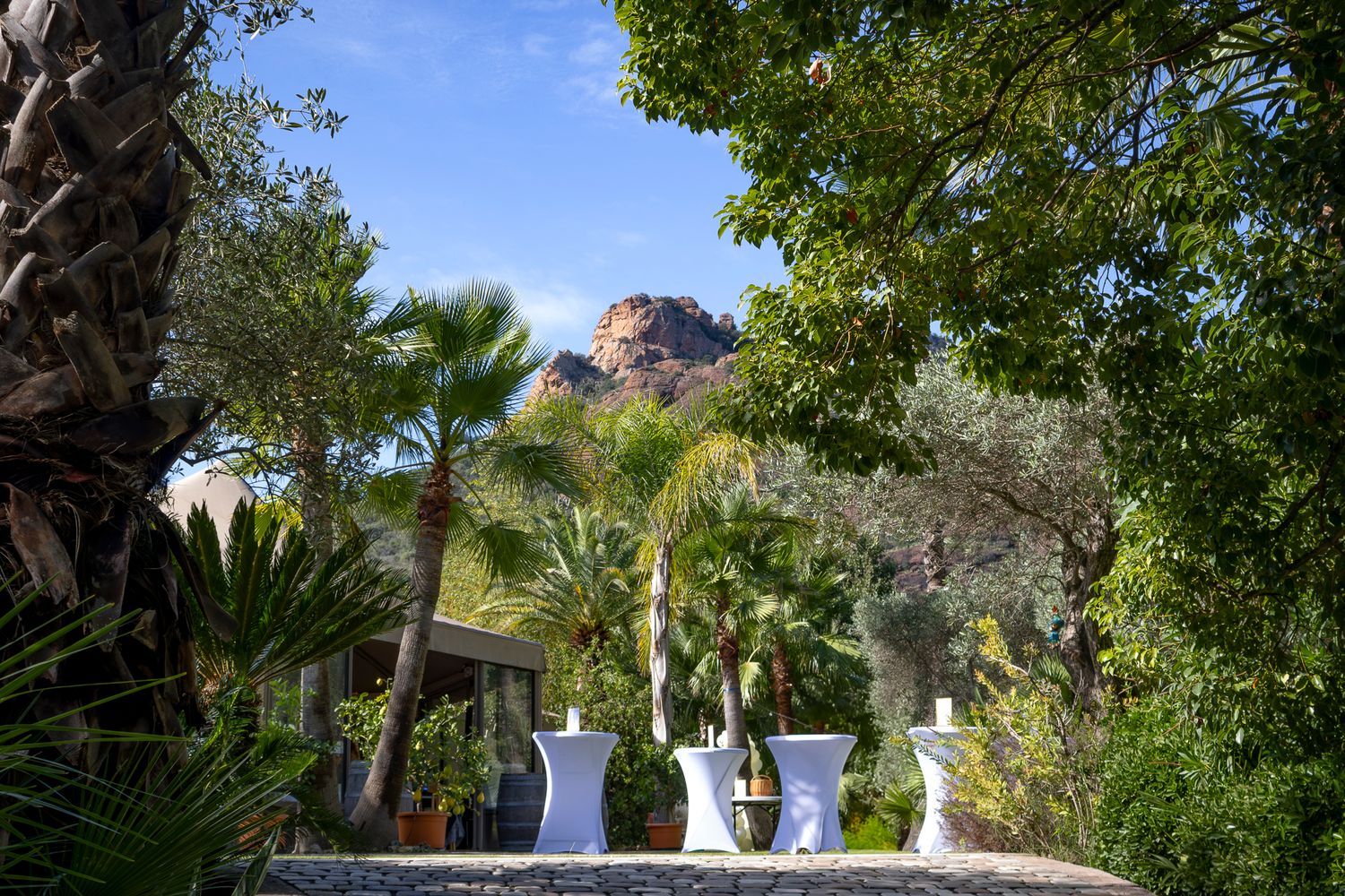 A lush garden pathway lined with palm trees and tropical plants leads to a Mediterranean-style villa entrance.