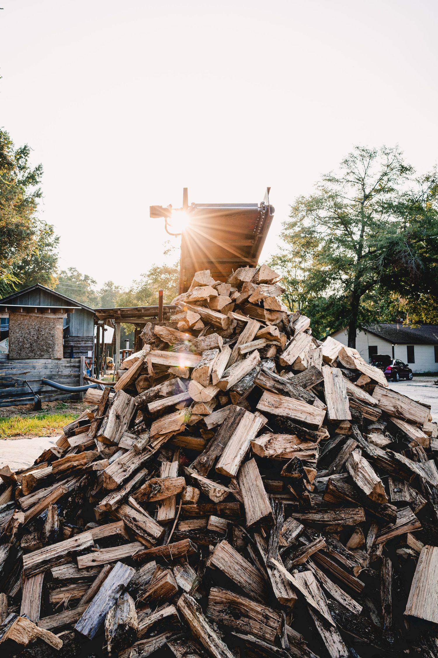 Large pile of split firewood stacked outdoors with sunburst through trees in background.