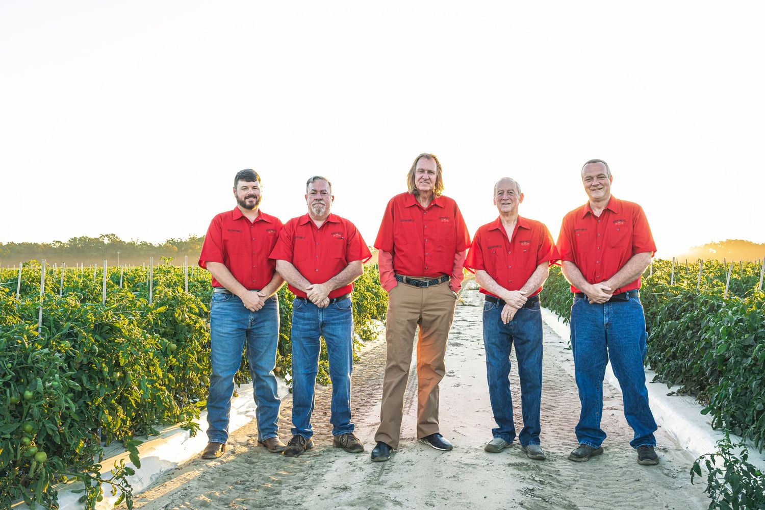 A group in red shirts poses together in a lush agricultural field during golden hour.