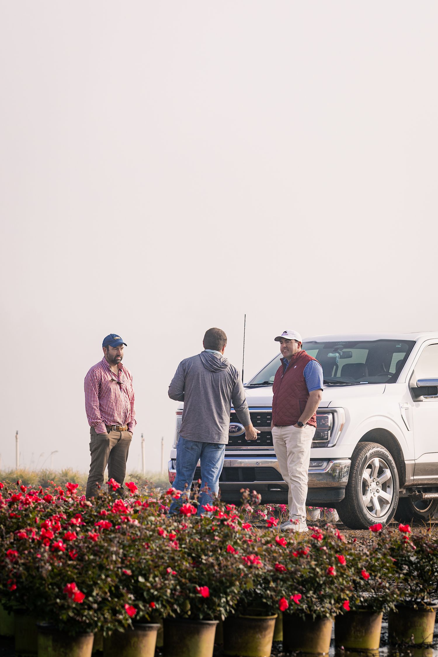 People gather near parked cars beside a row of vibrant red flowers in decorative pots.