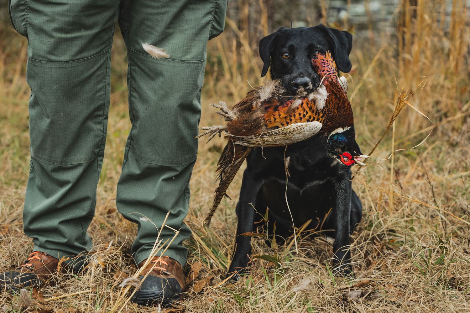 Hunting boots and gear visible from ground level in autumn grass.