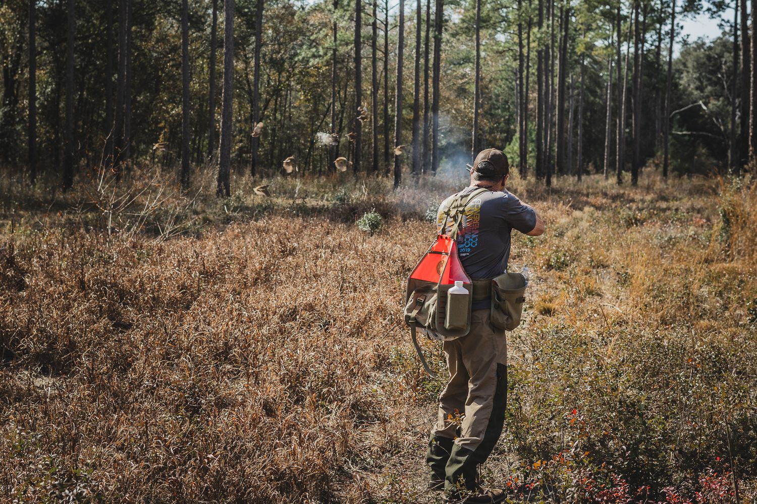 quail hunting photographer