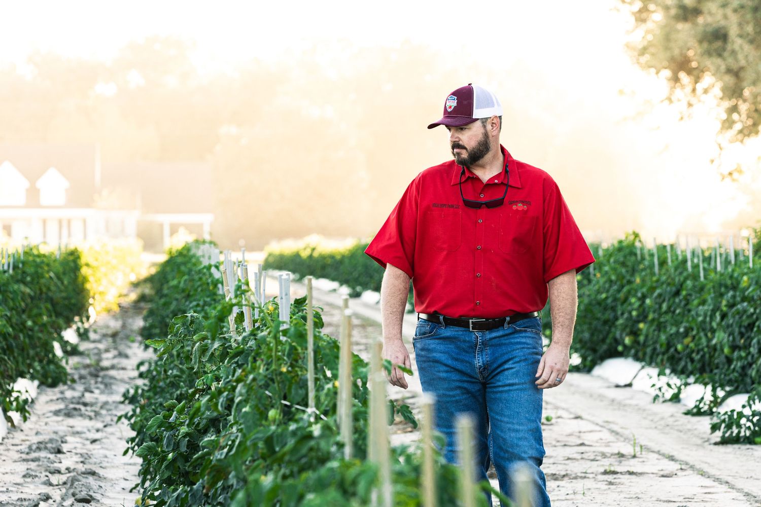 People in red shirts and jeans stand against a backdrop of green crops at sunset.