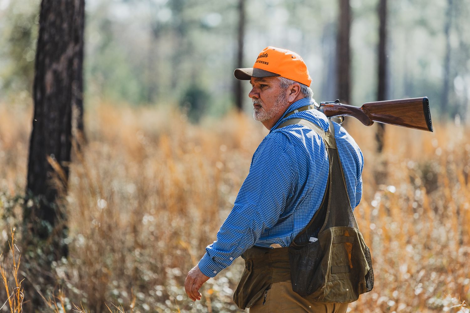 Hunters in orange safety gear walk through a pine forest during a hunt.