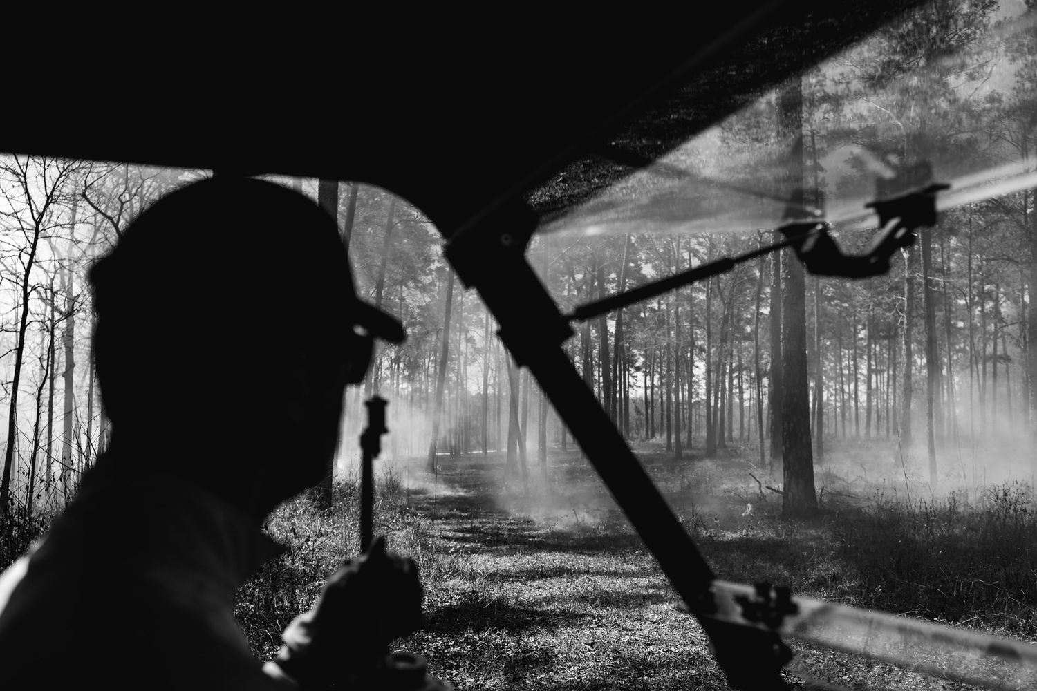 Silhouetted figures conducting forest management operations at dusk.