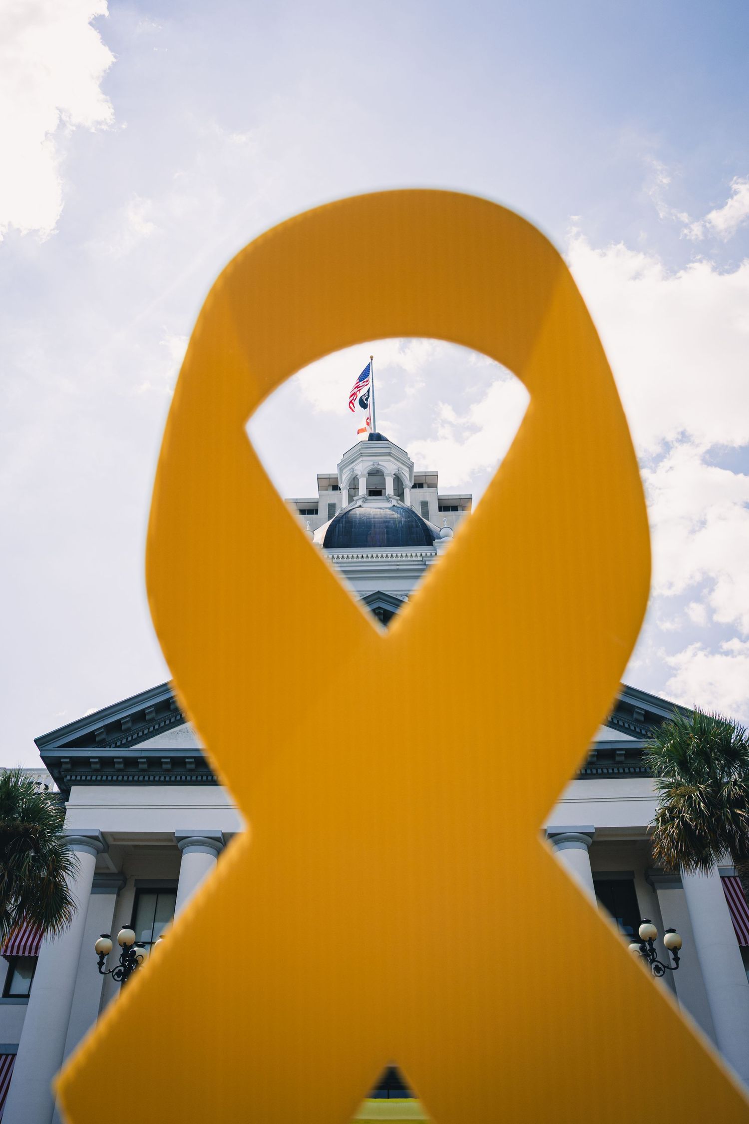A large yellow ribbon symbol overlays a government building facade with American flags and palm trees in Florida.