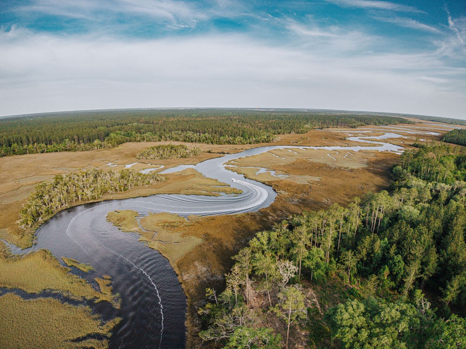 Aerial panorama of winding coastal waterways through marshland and forest.