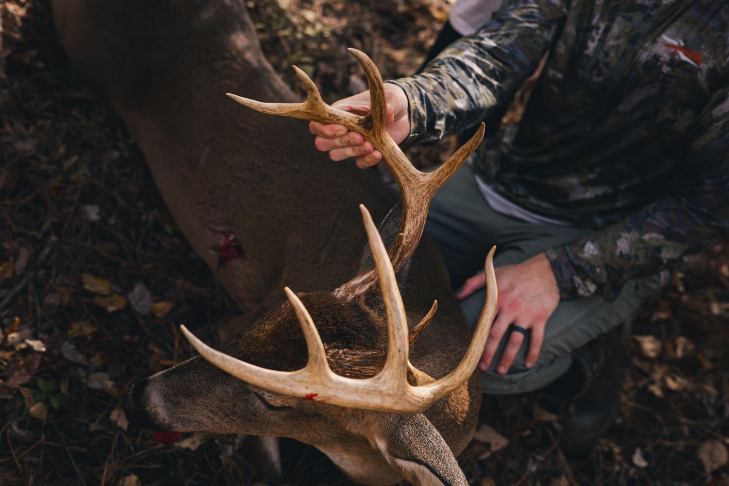 deer hunting photographer