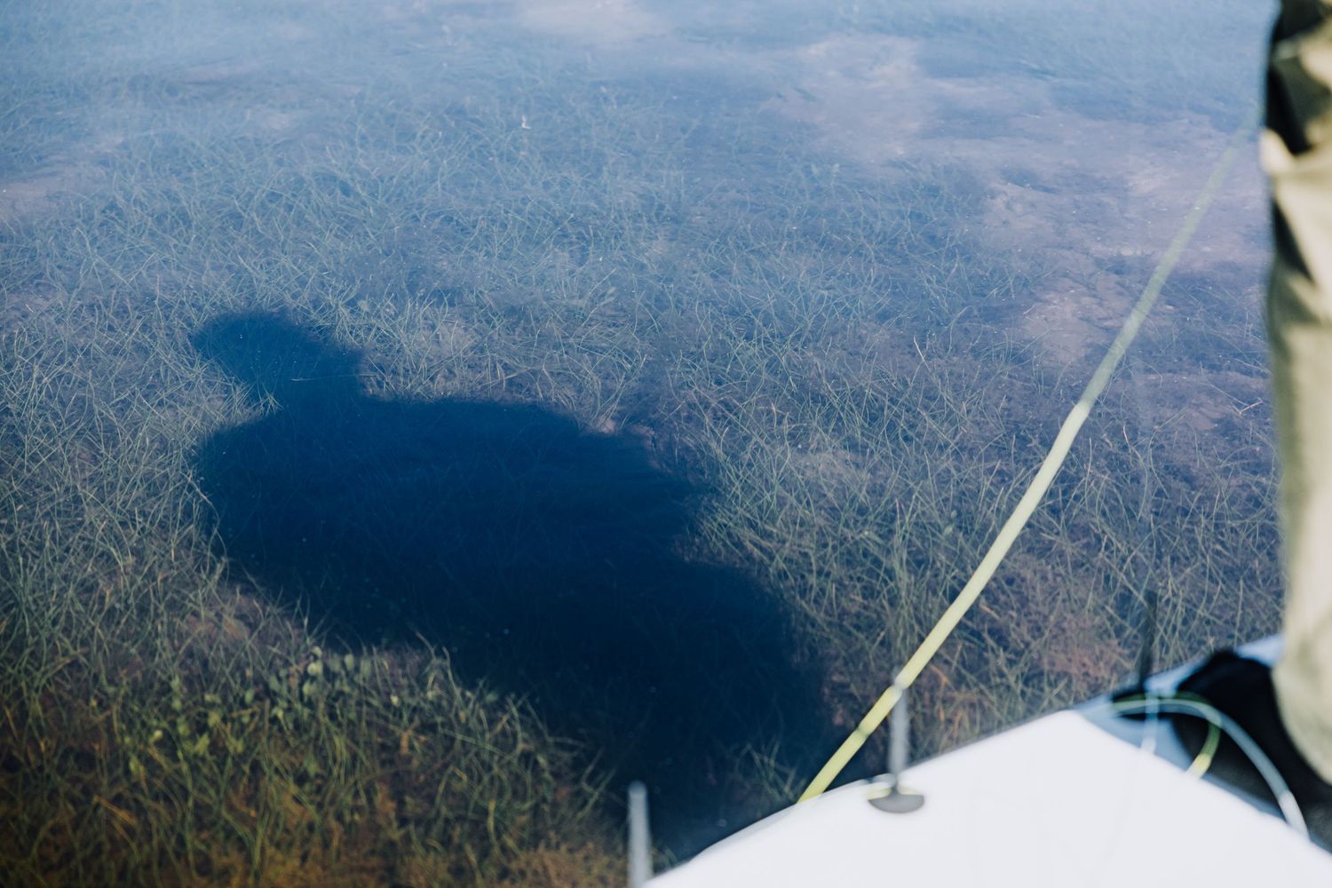 Aerial view of fishing rod extending over forested mountain landscape.