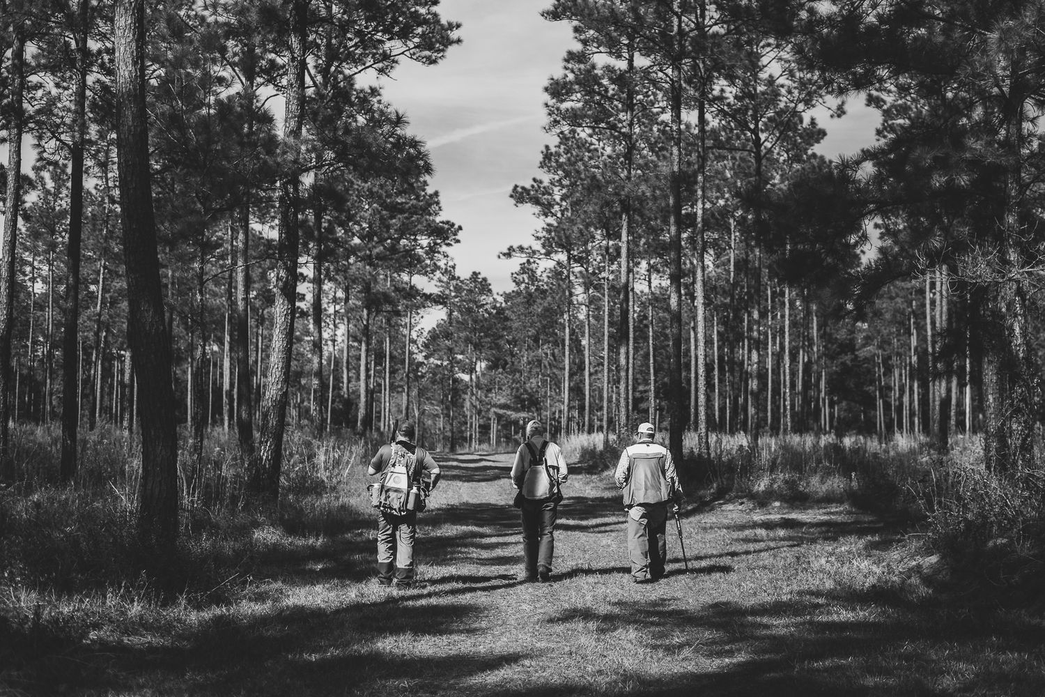 Black and white photograph of hunters walking along a path through a pine forest.