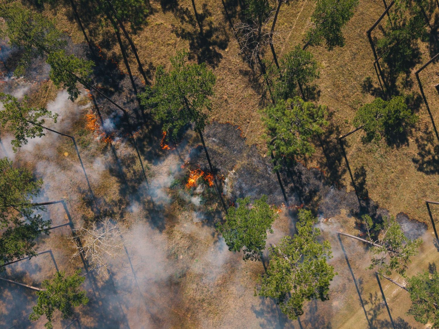 Aerial view of smoke and flames during a controlled forest burn.