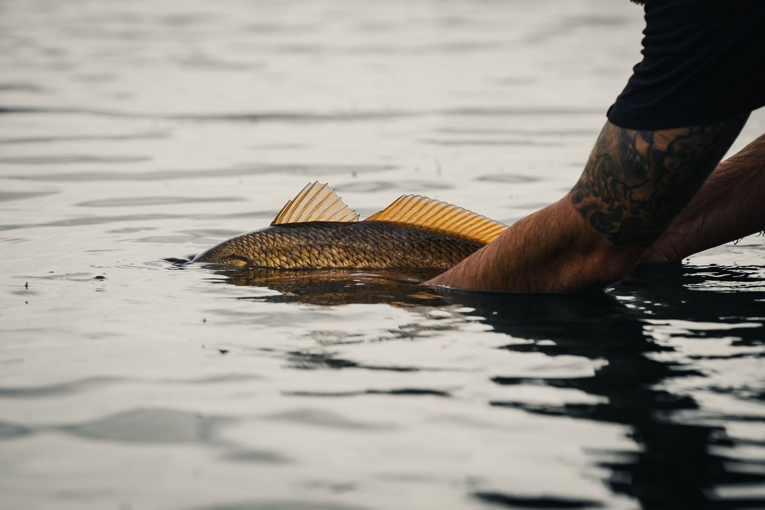 fishing photographer