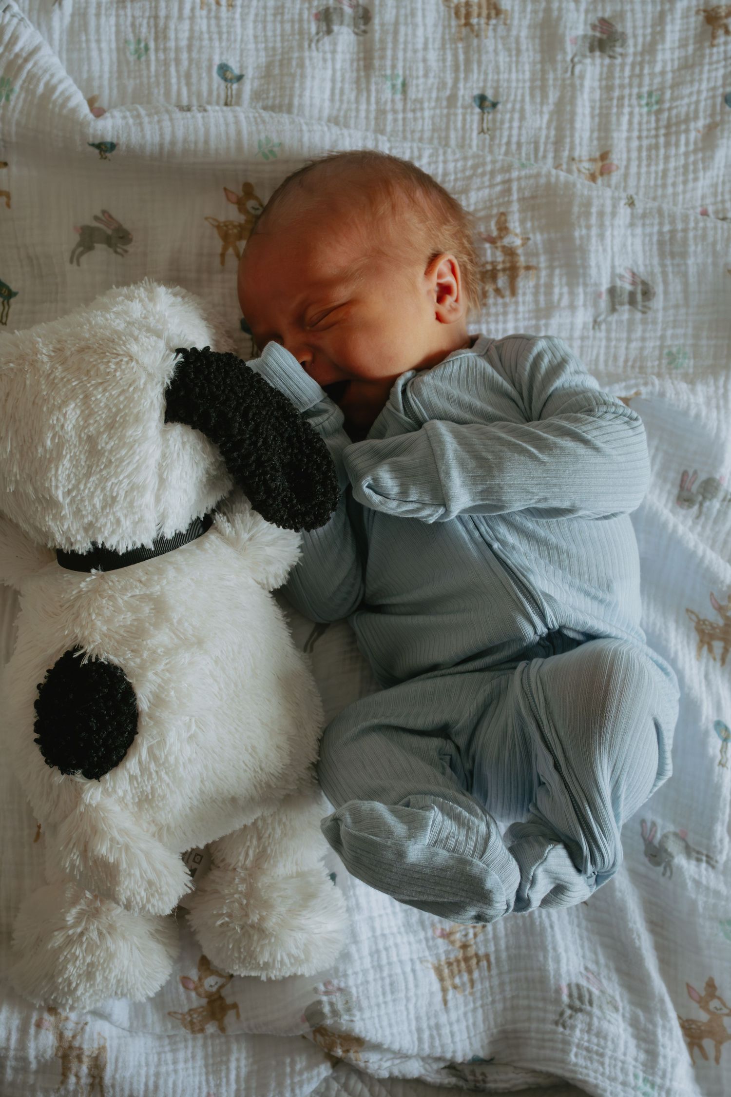 A small infant rests peacefully on white bedding next to a large plush white teddy bear wearing a gray hoodie.