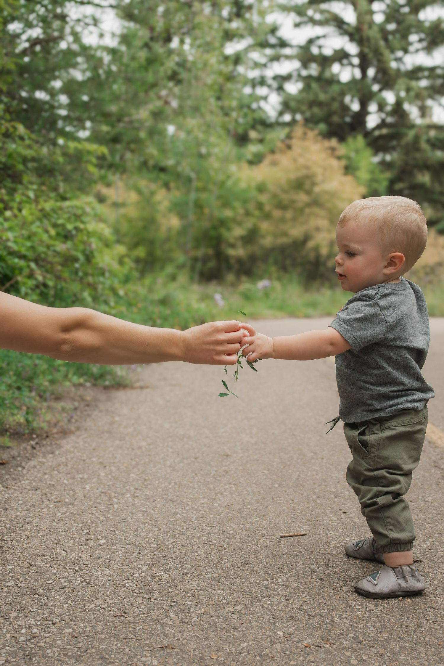 A sequence showing a toddler reaching for support while learning to walk on a gravel path in a wooded area.